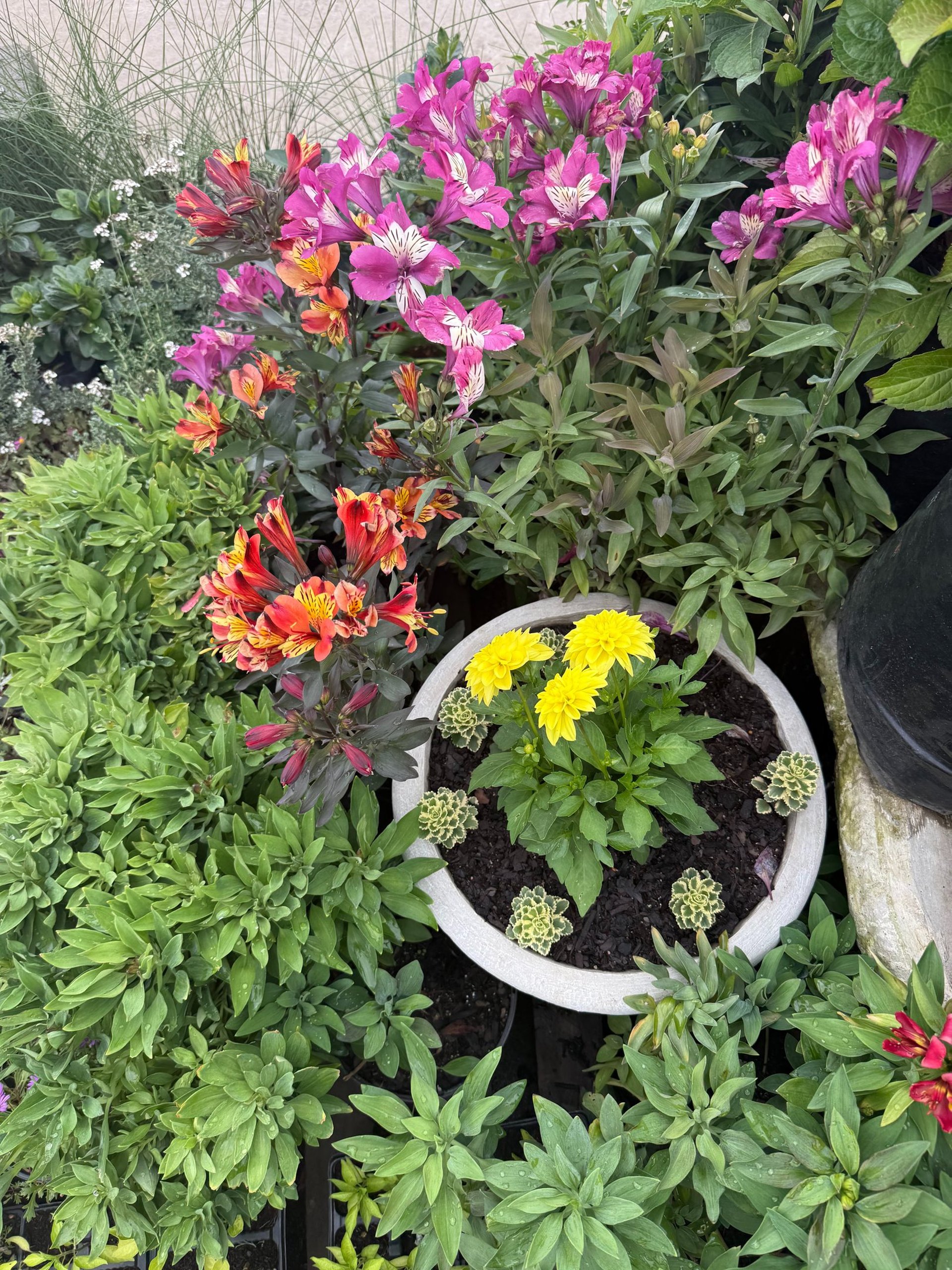woman wearing yellow long-sleeved dress under white clouds and blue sky during daytime
