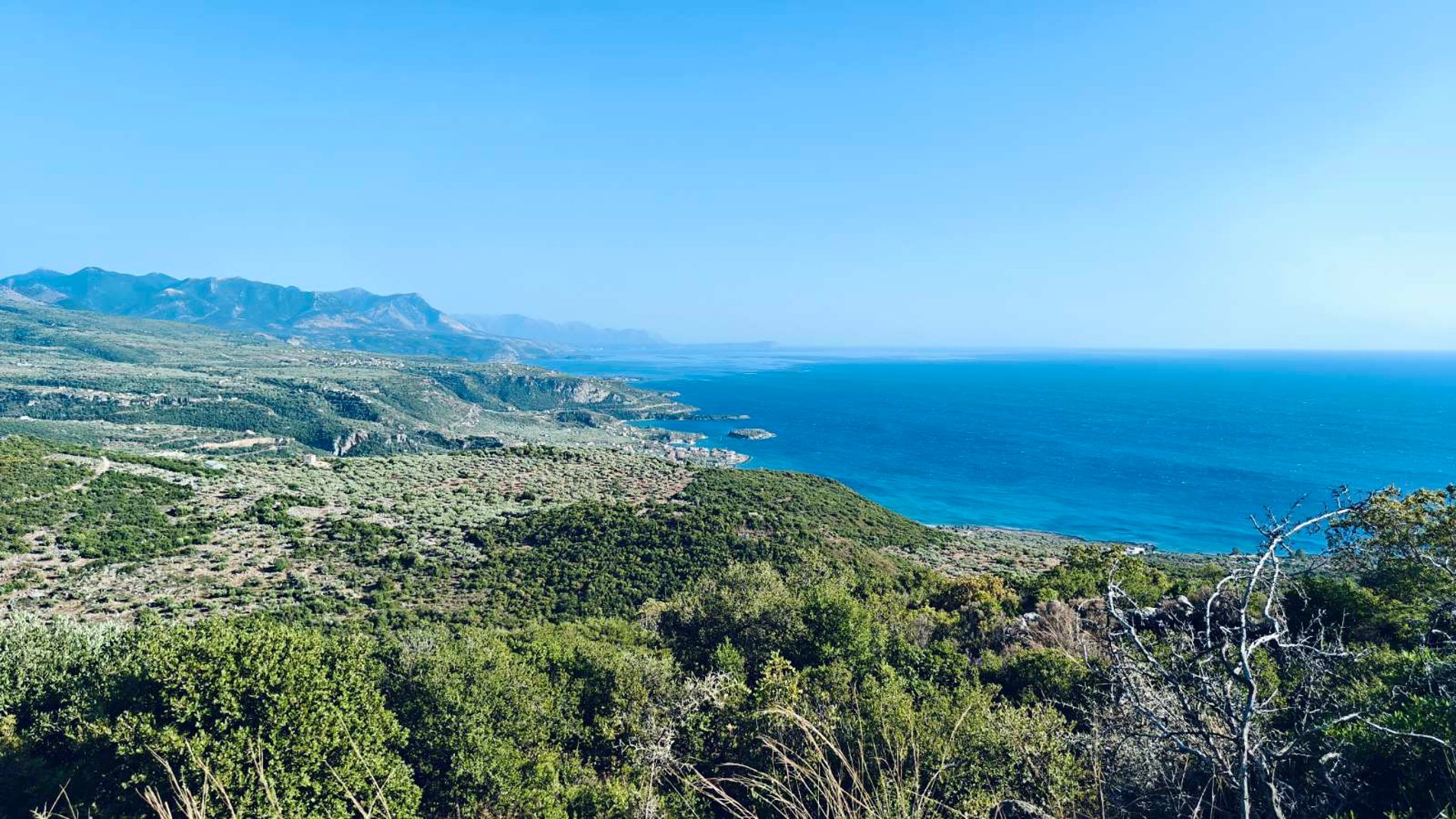 woman wearing yellow long-sleeved dress under white clouds and blue sky during daytime