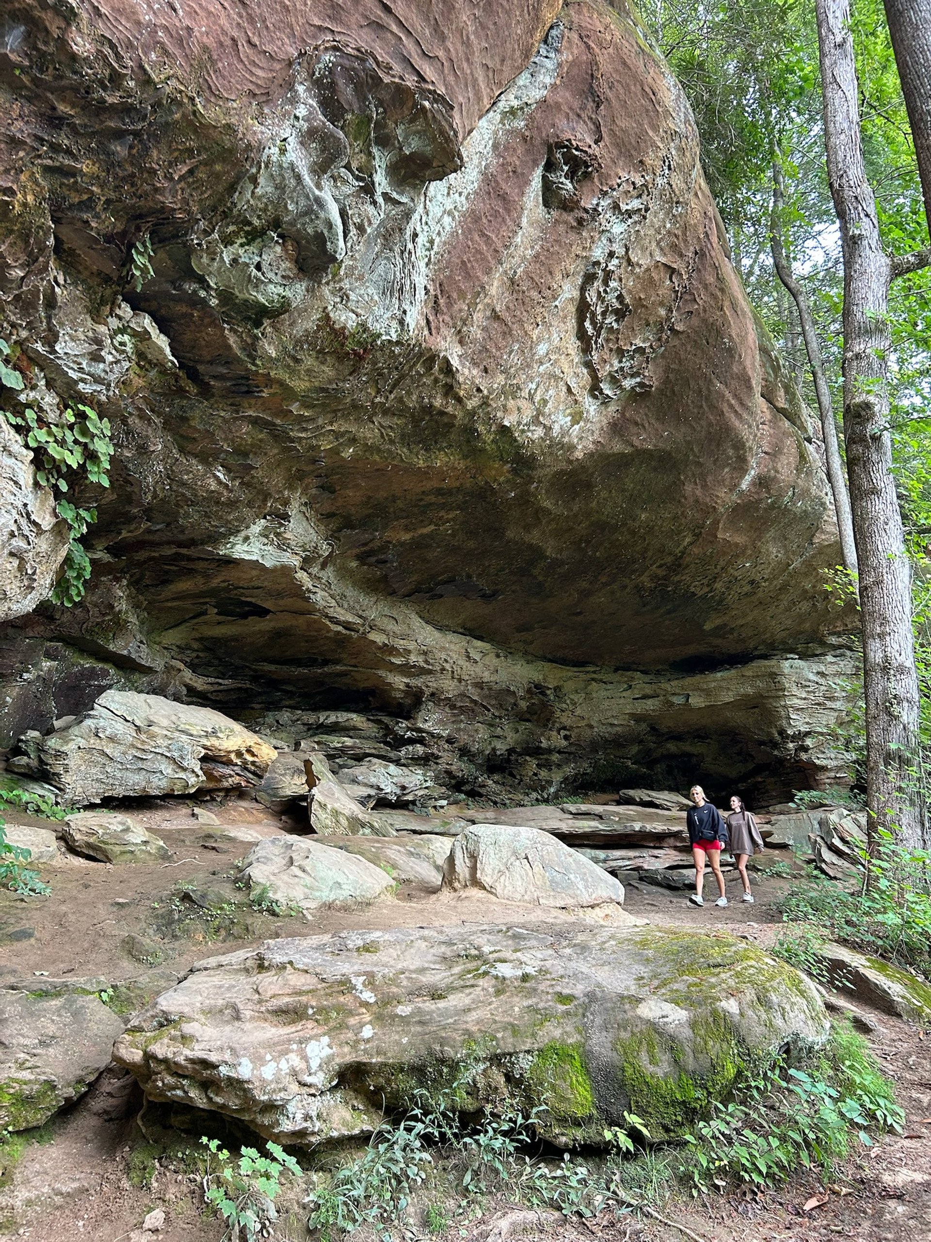 Man and woman jogging together in a park.
