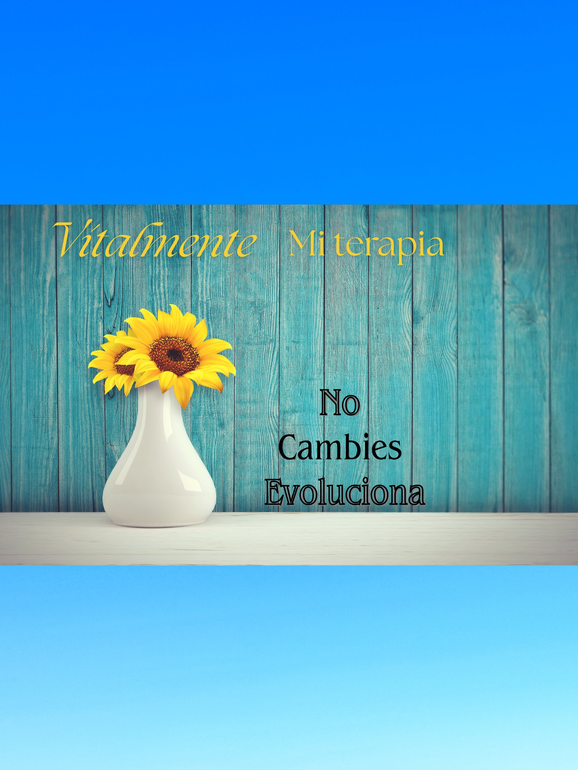 black and brown leather padded tub sofa