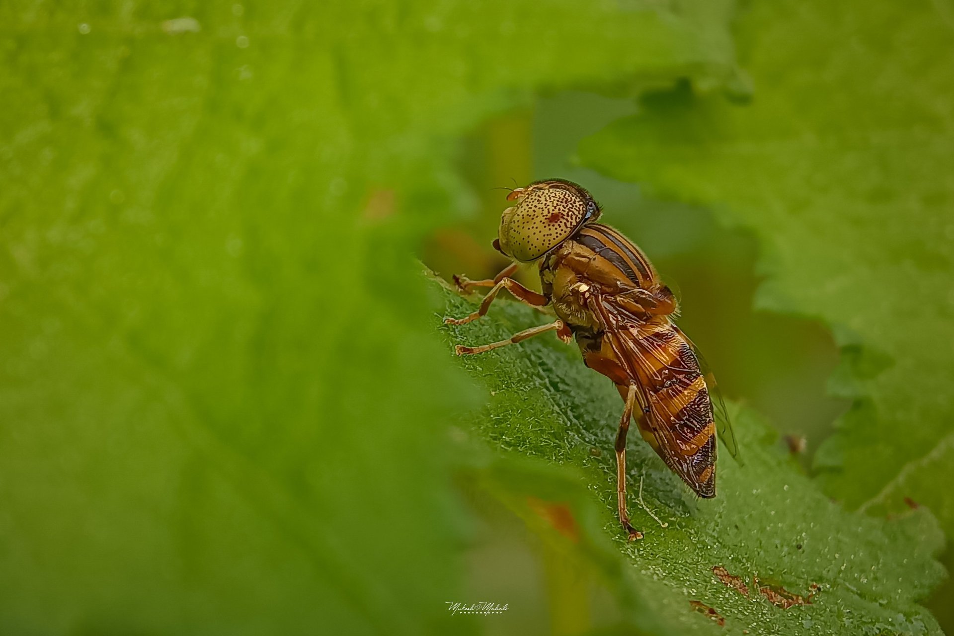 woman posing beside lite window