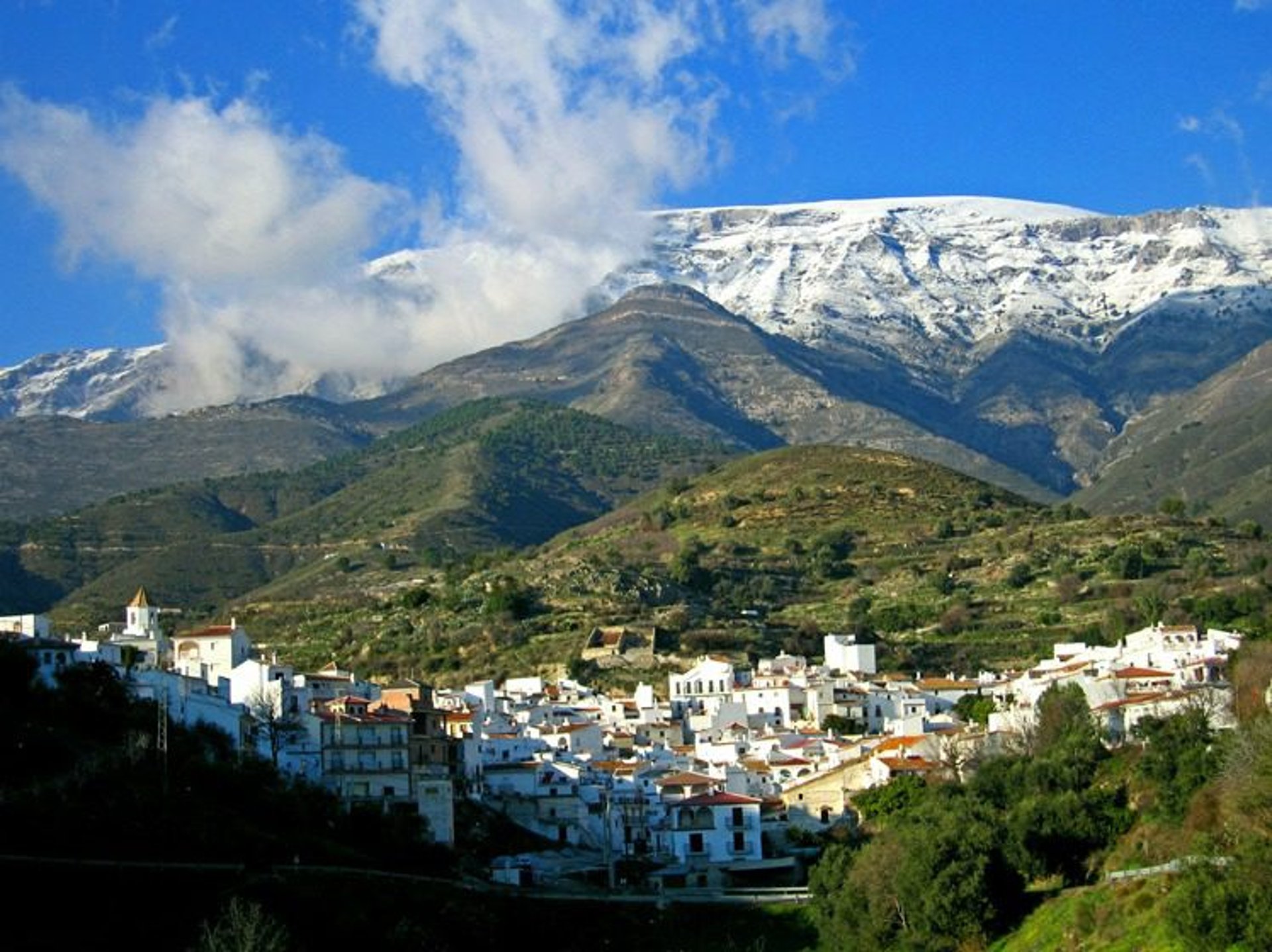 gray computer monitor