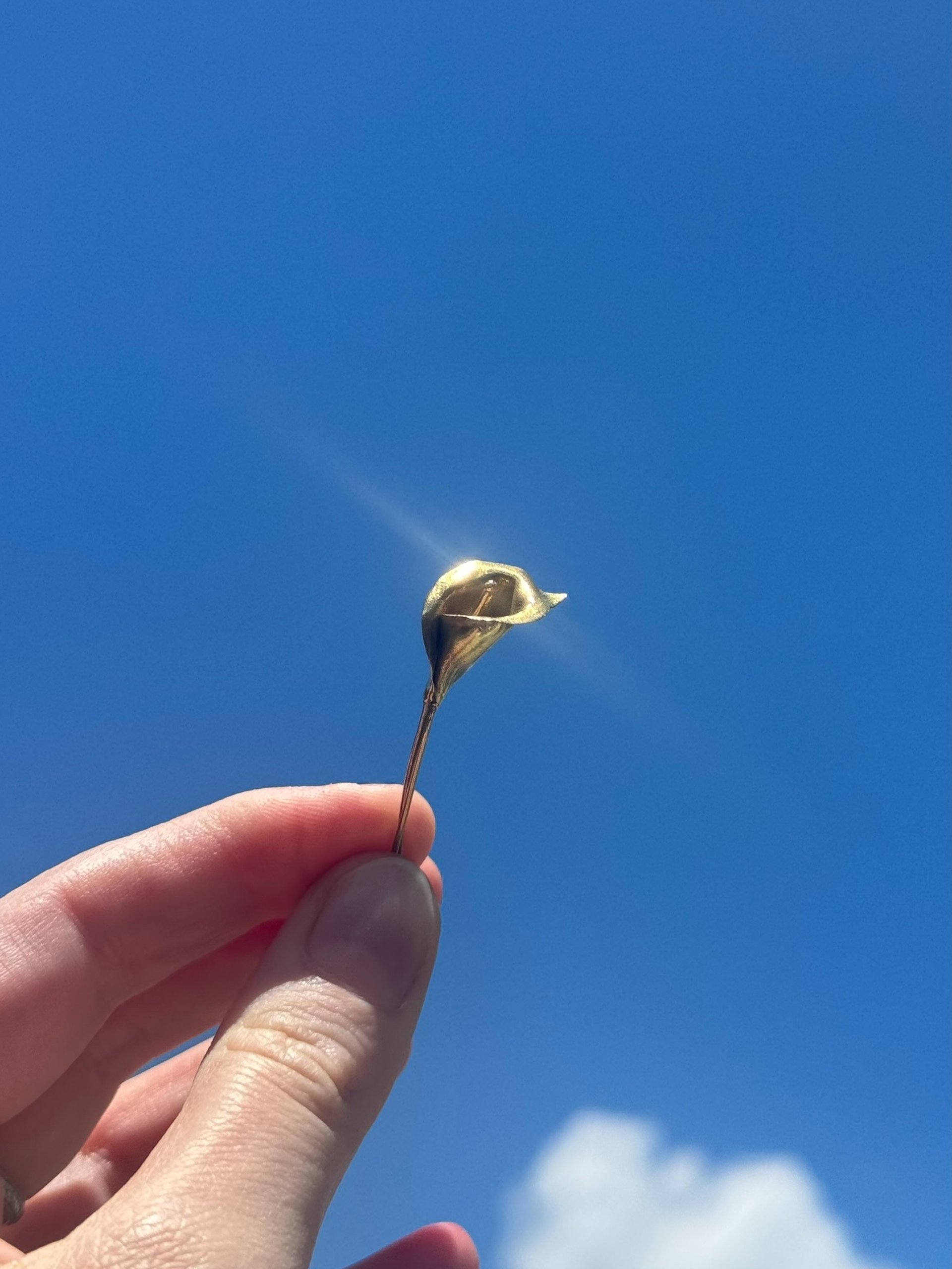 an abstract photo of a curved building with a blue sky in the background