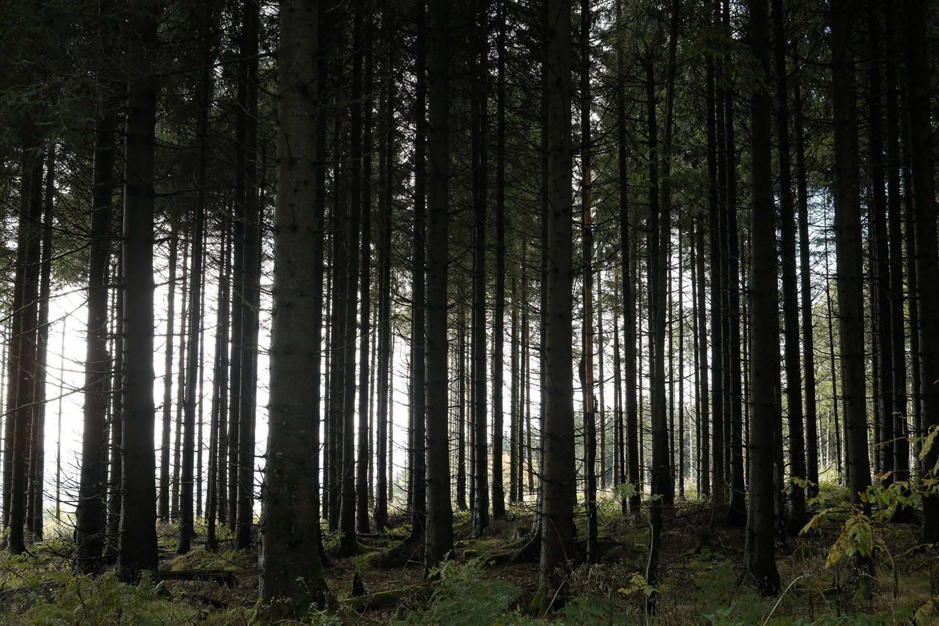 mountain range under blue sky