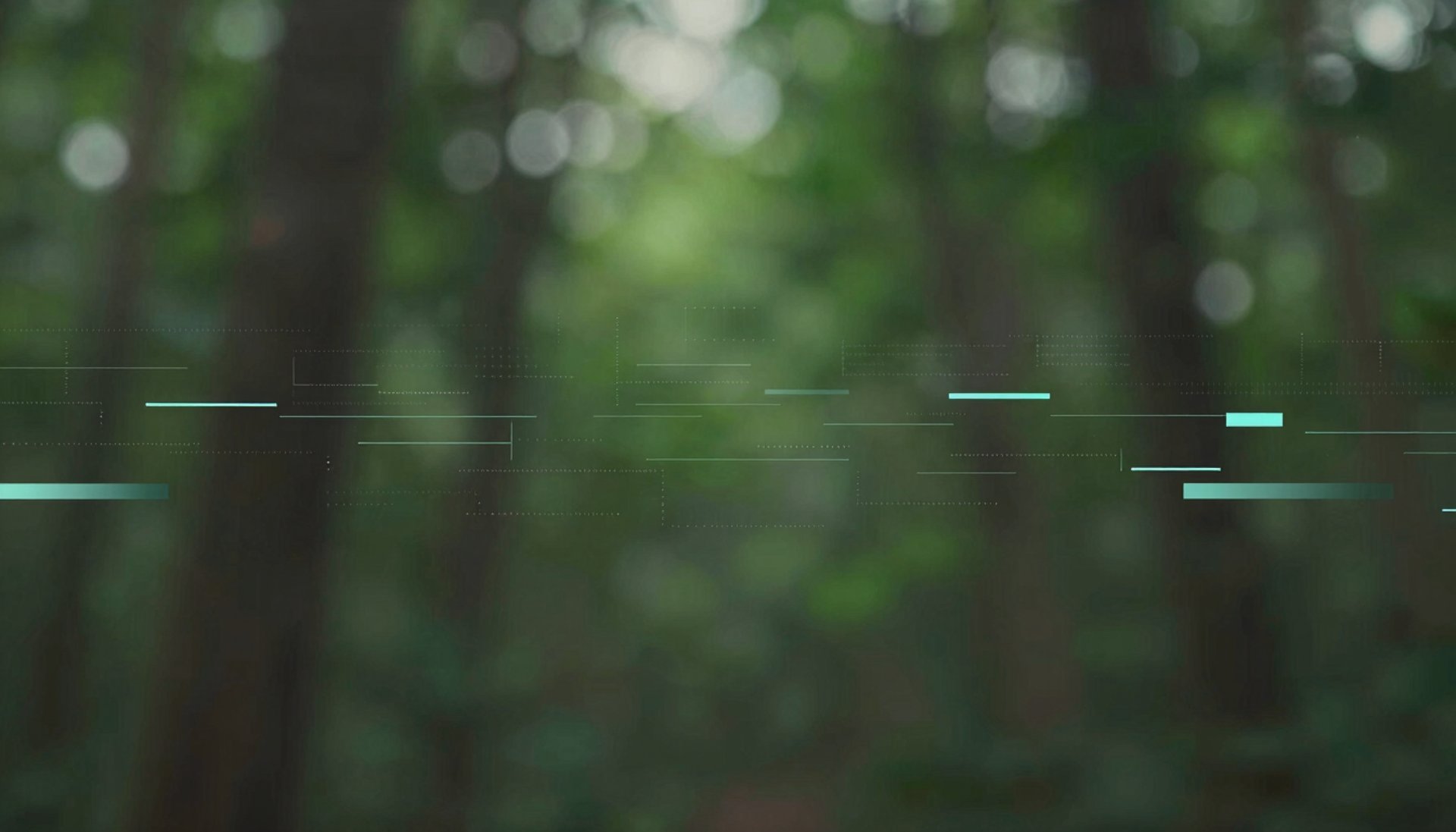 an abstract photo of a curved building with a blue sky in the background