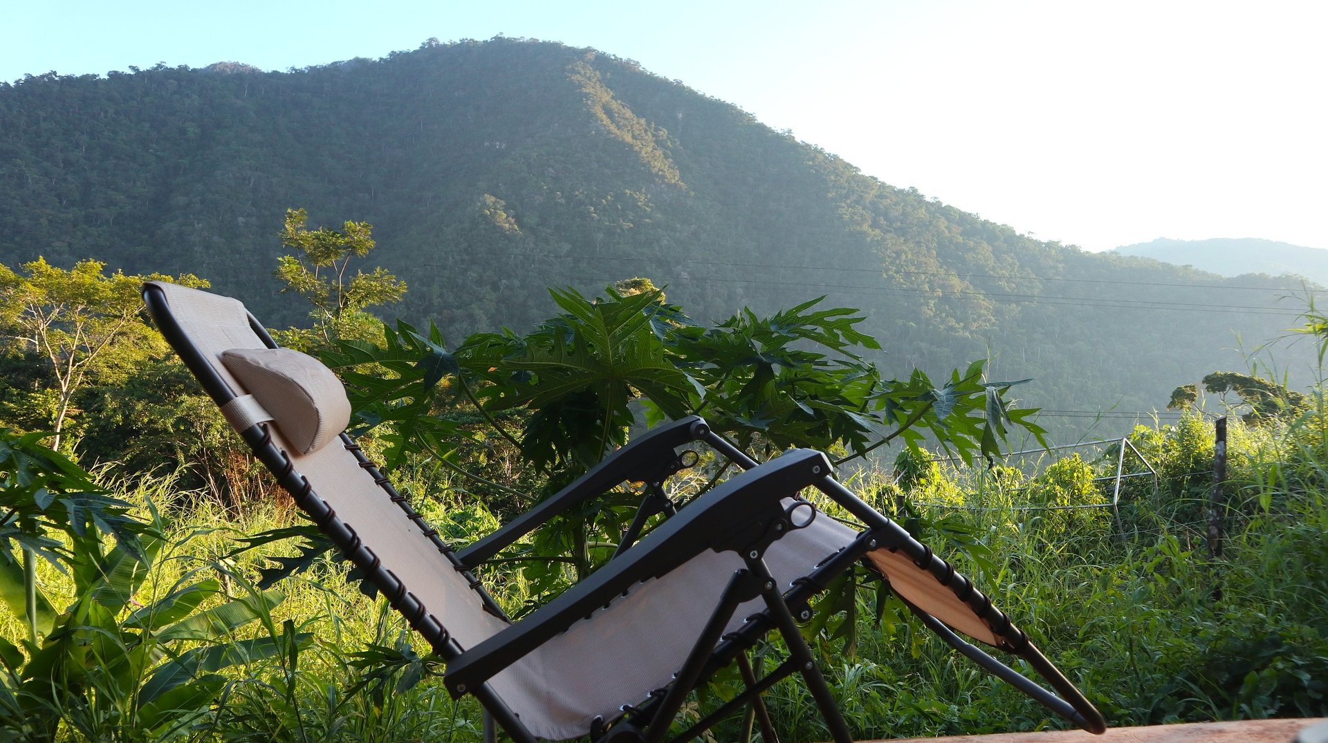 gray computer monitor