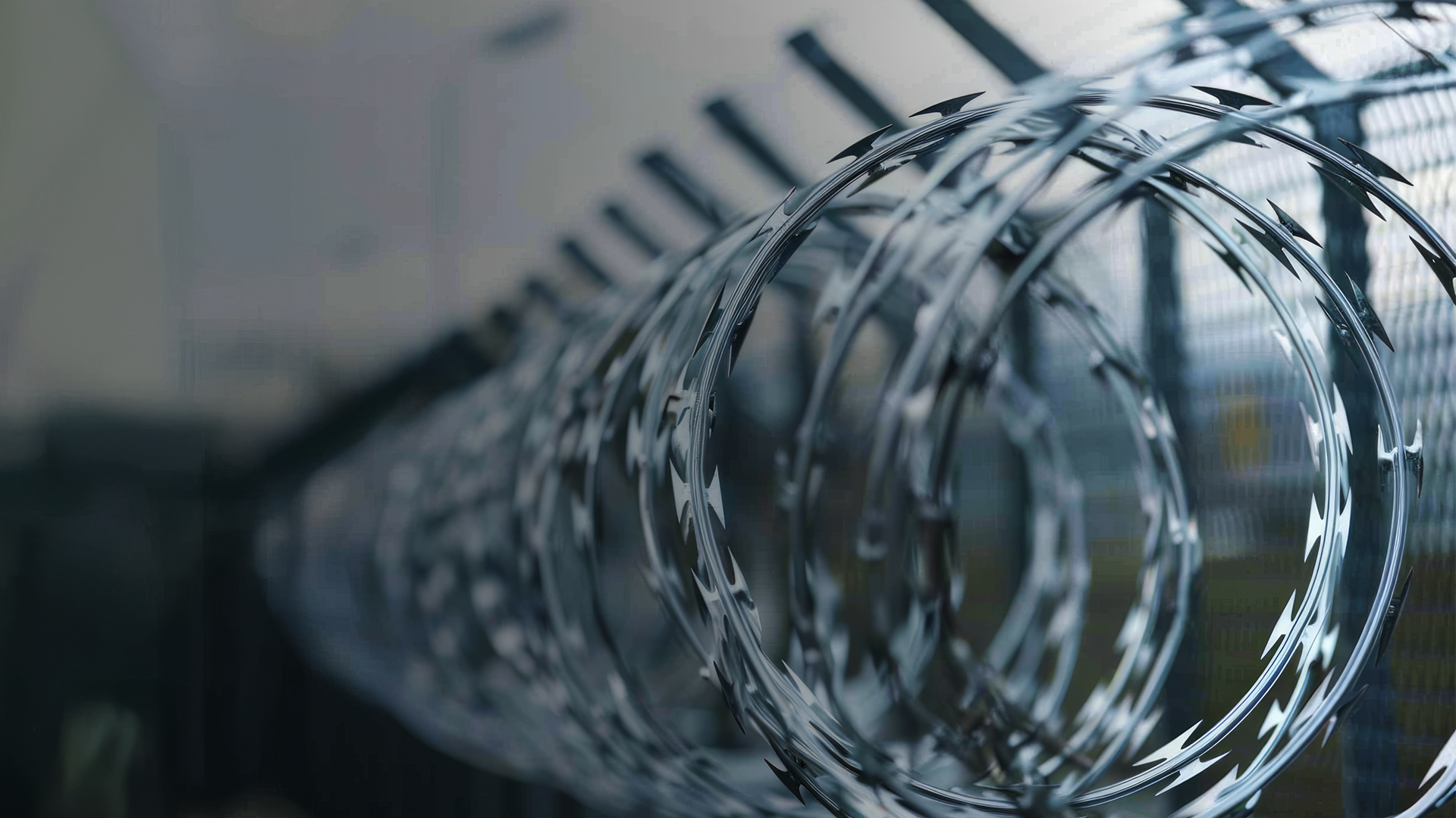 black and white bed linen