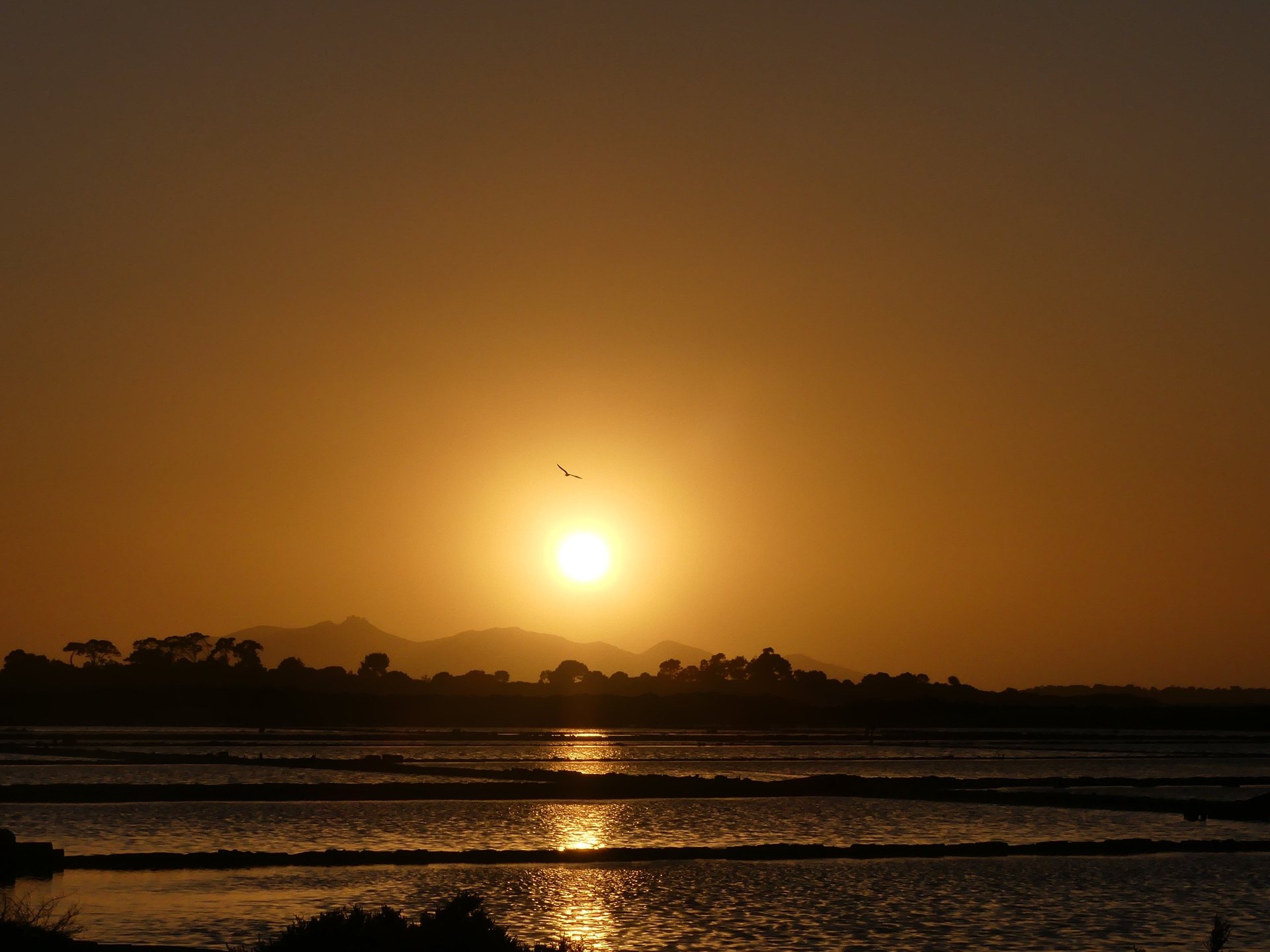 empty train station during golden hour