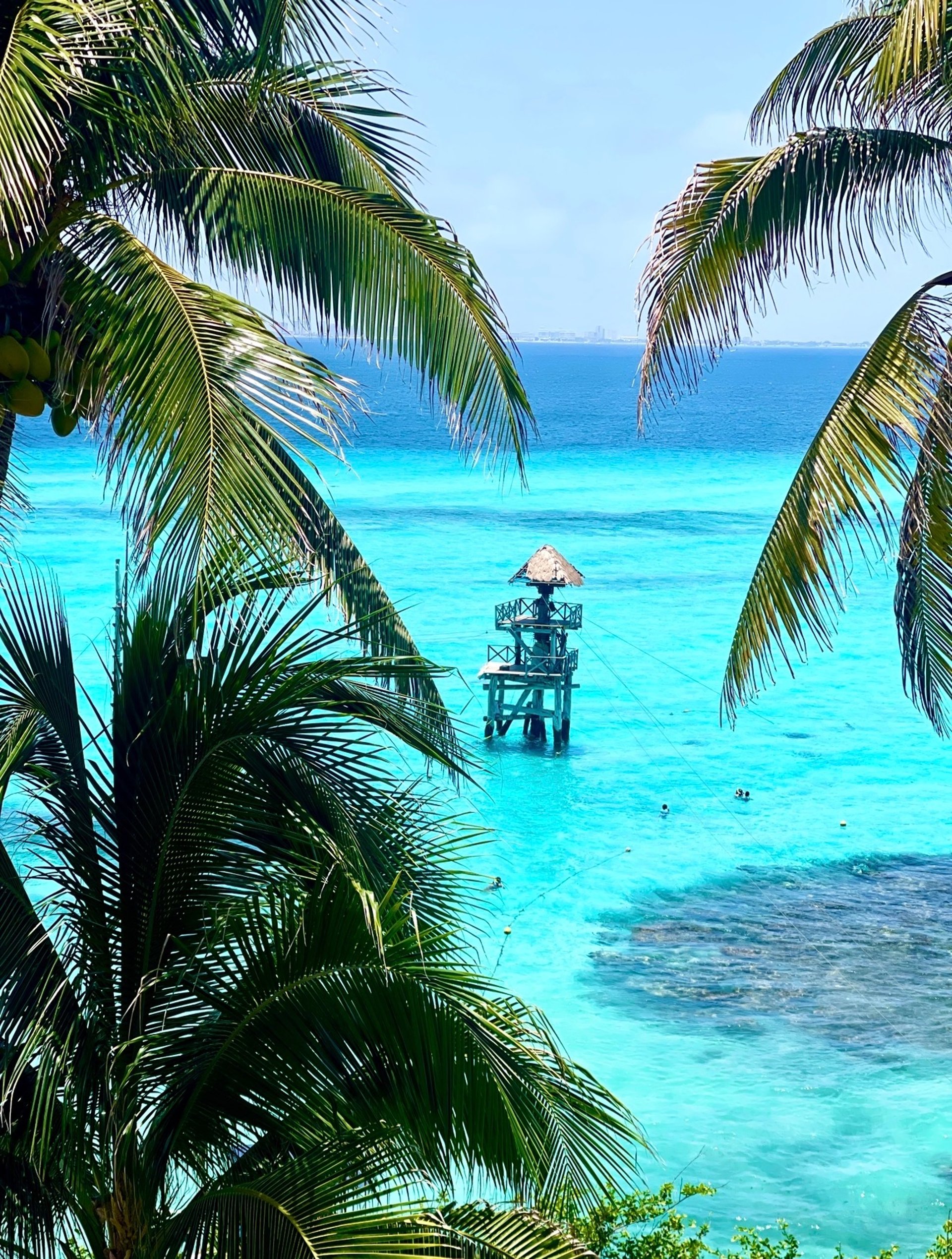 Isla Mujeres near Garrafon Park