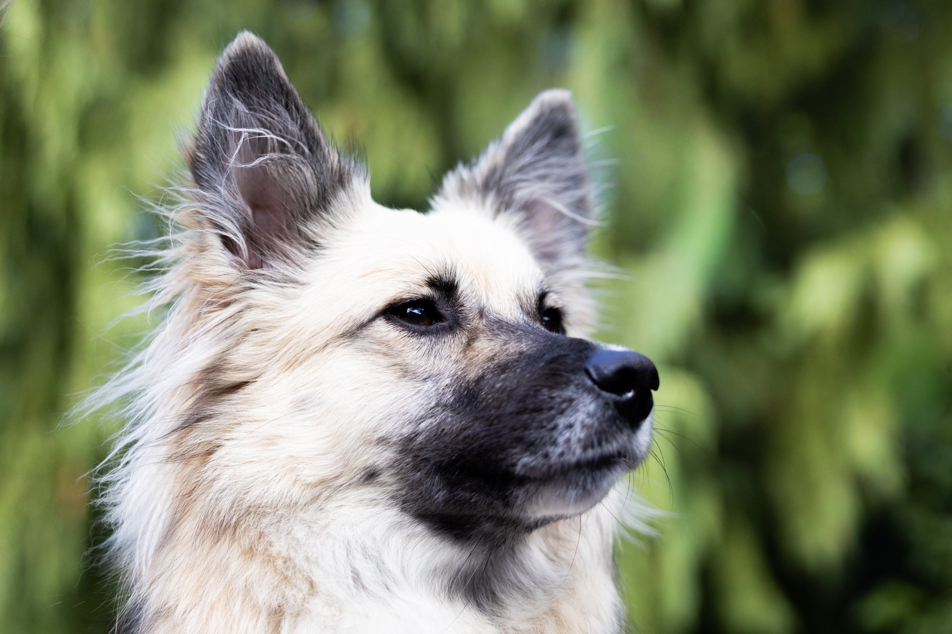 woman wearing yellow long-sleeved dress under white clouds and blue sky during daytime