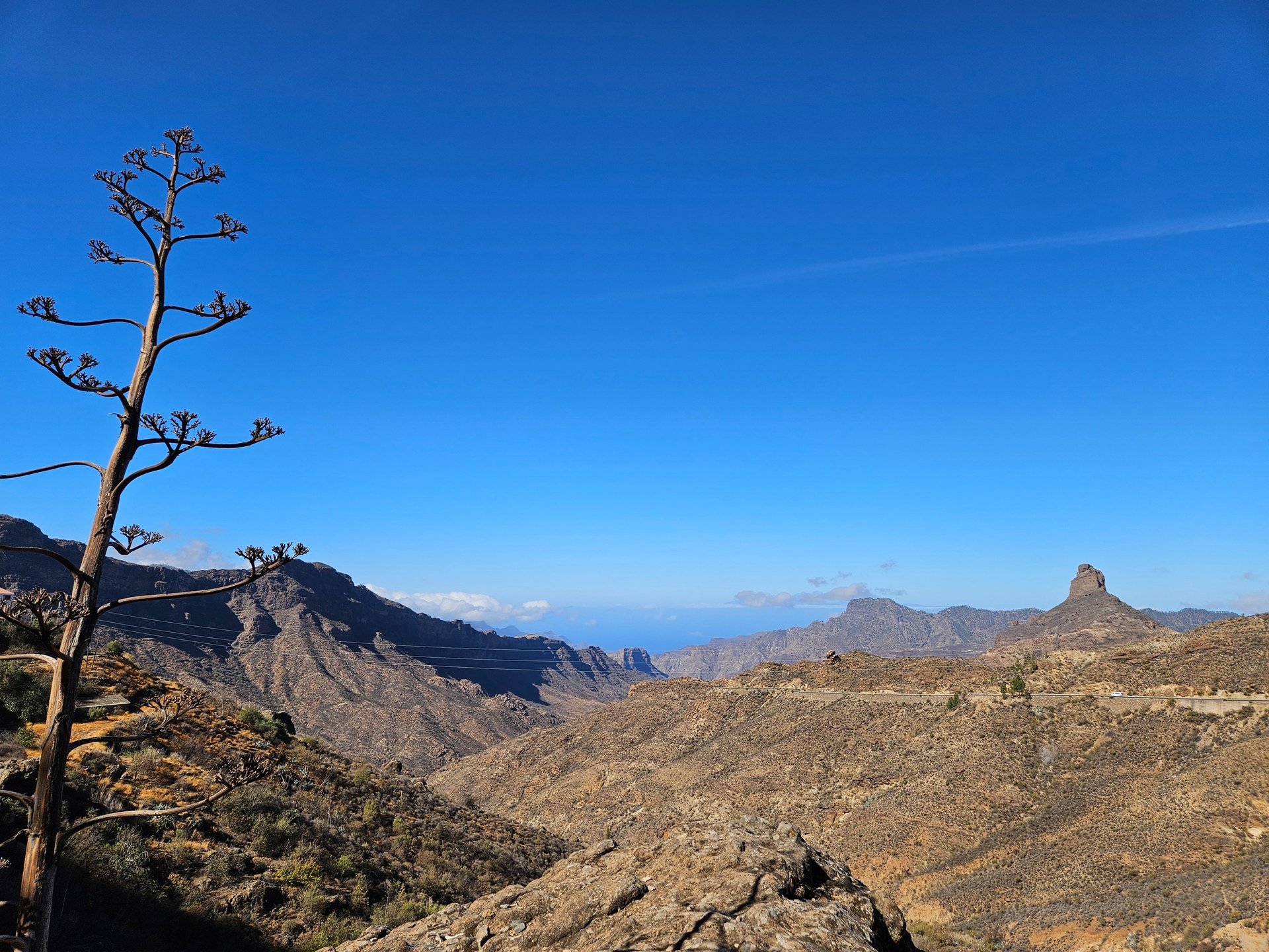 brown wooden house near lake surrounded by green trees during daytime