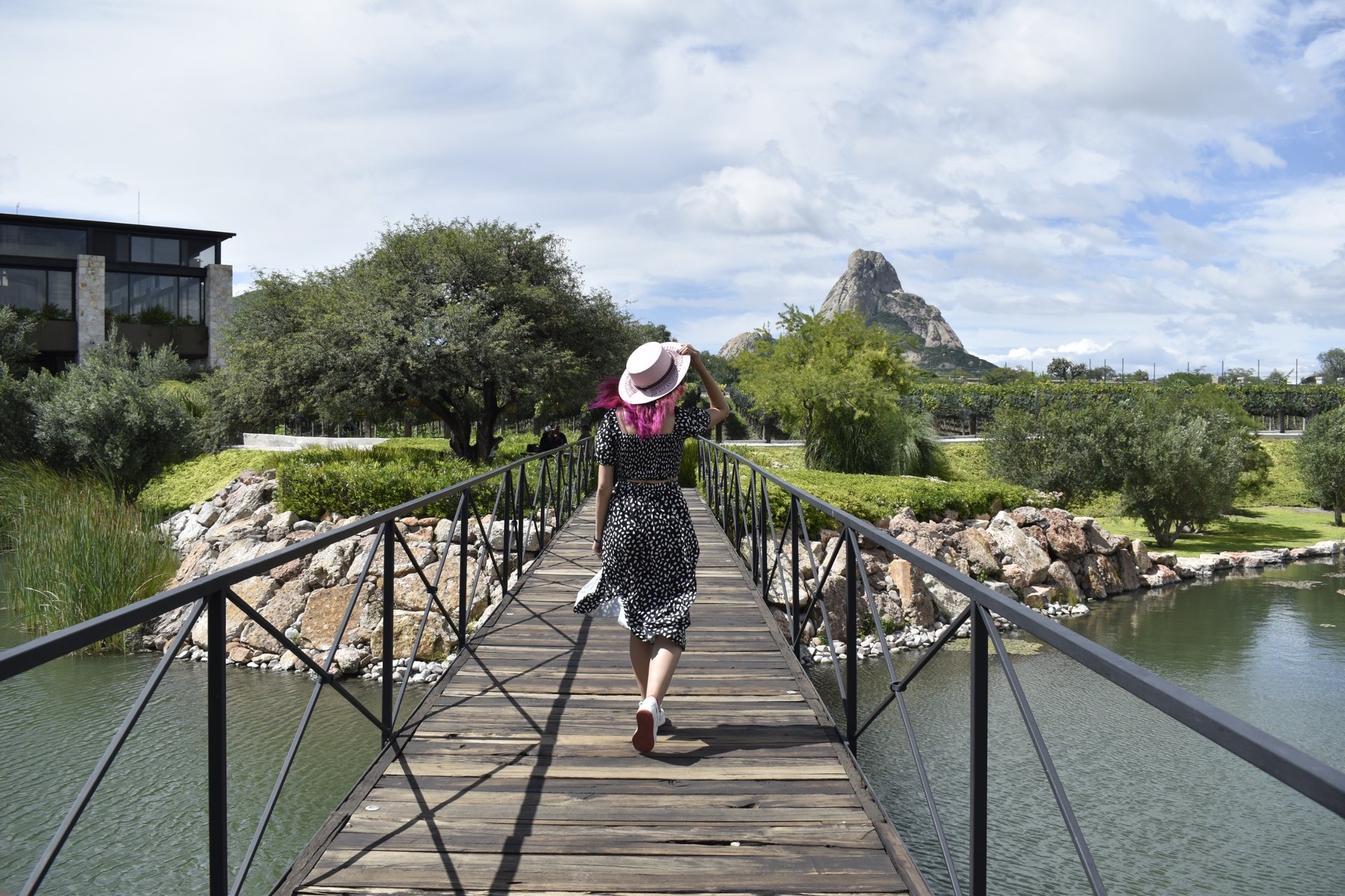 black and white bed linen
