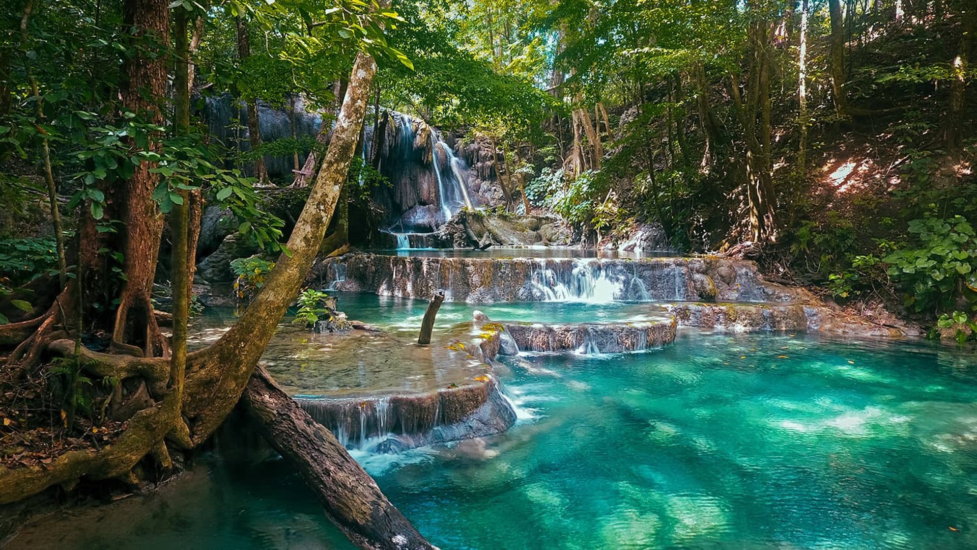 black and brown leather padded tub sofa