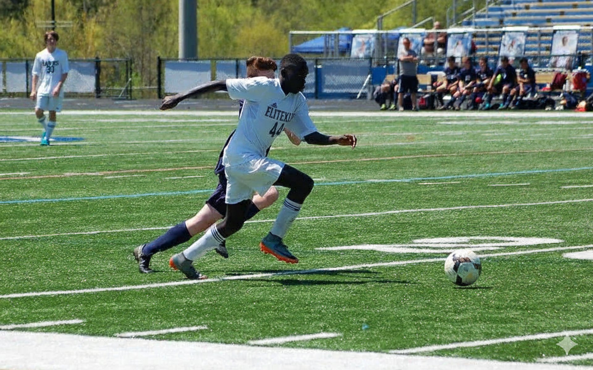 black and white bed linen
