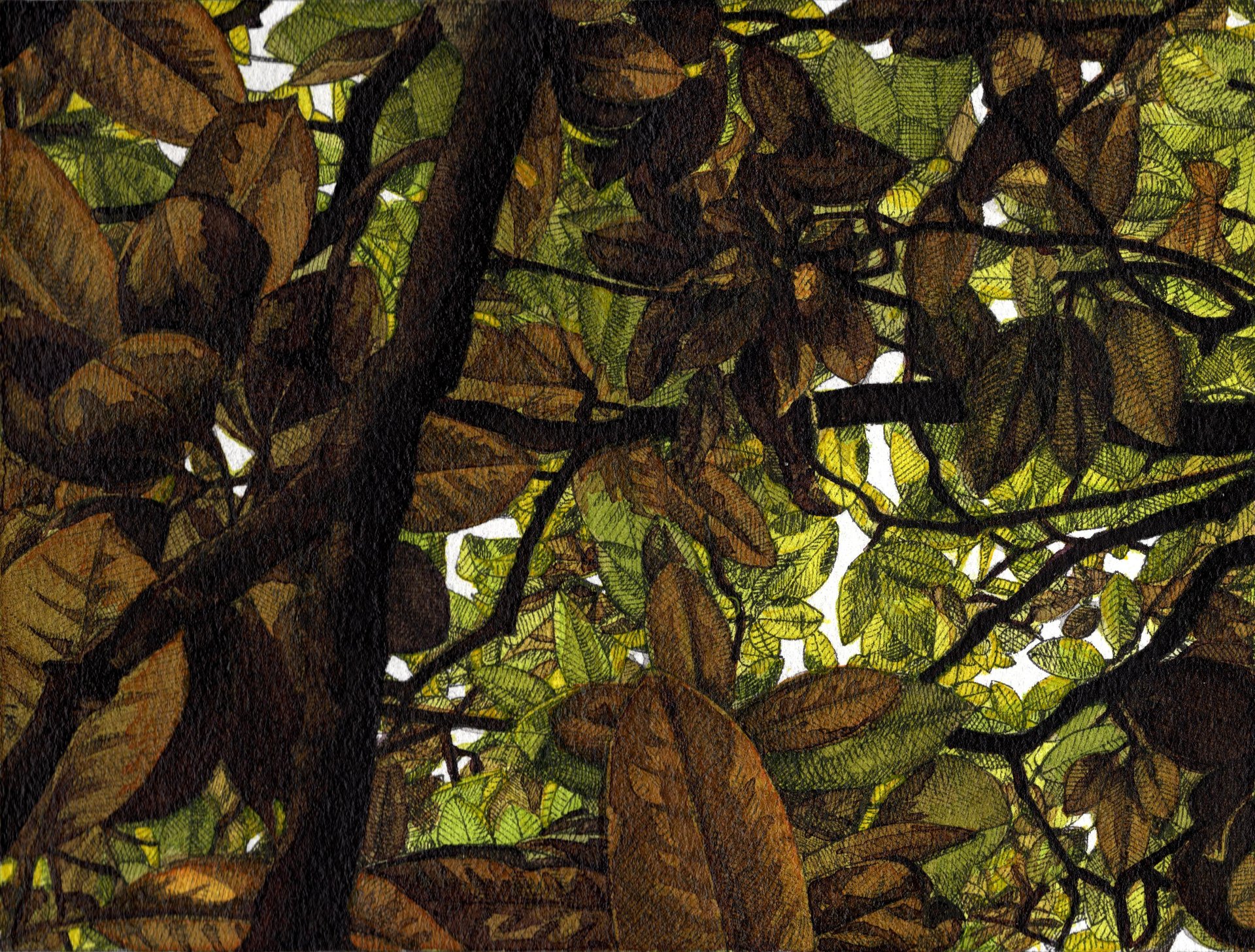 woman in white and brown dress standing on green grass during night time