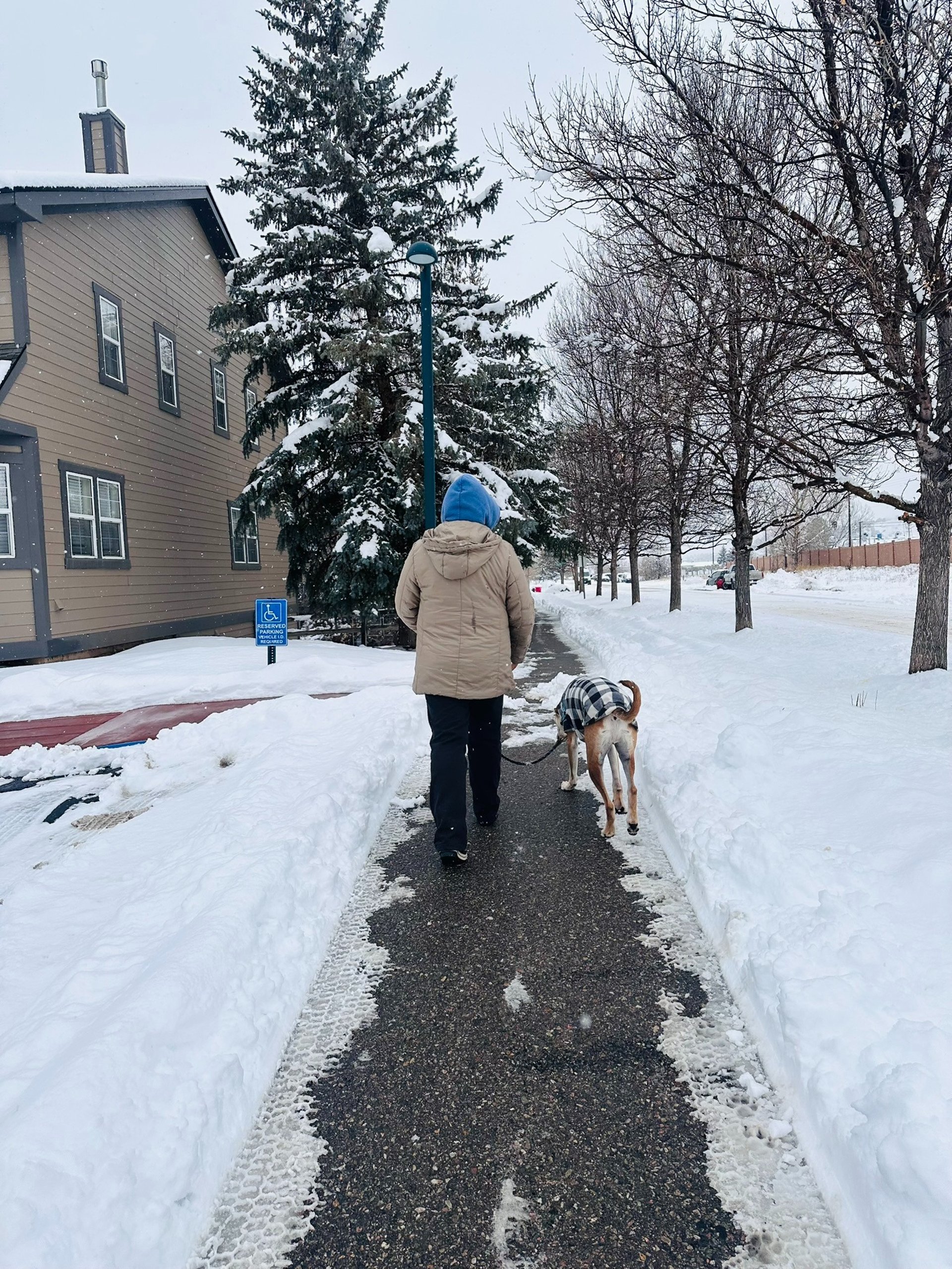 gray computer monitor