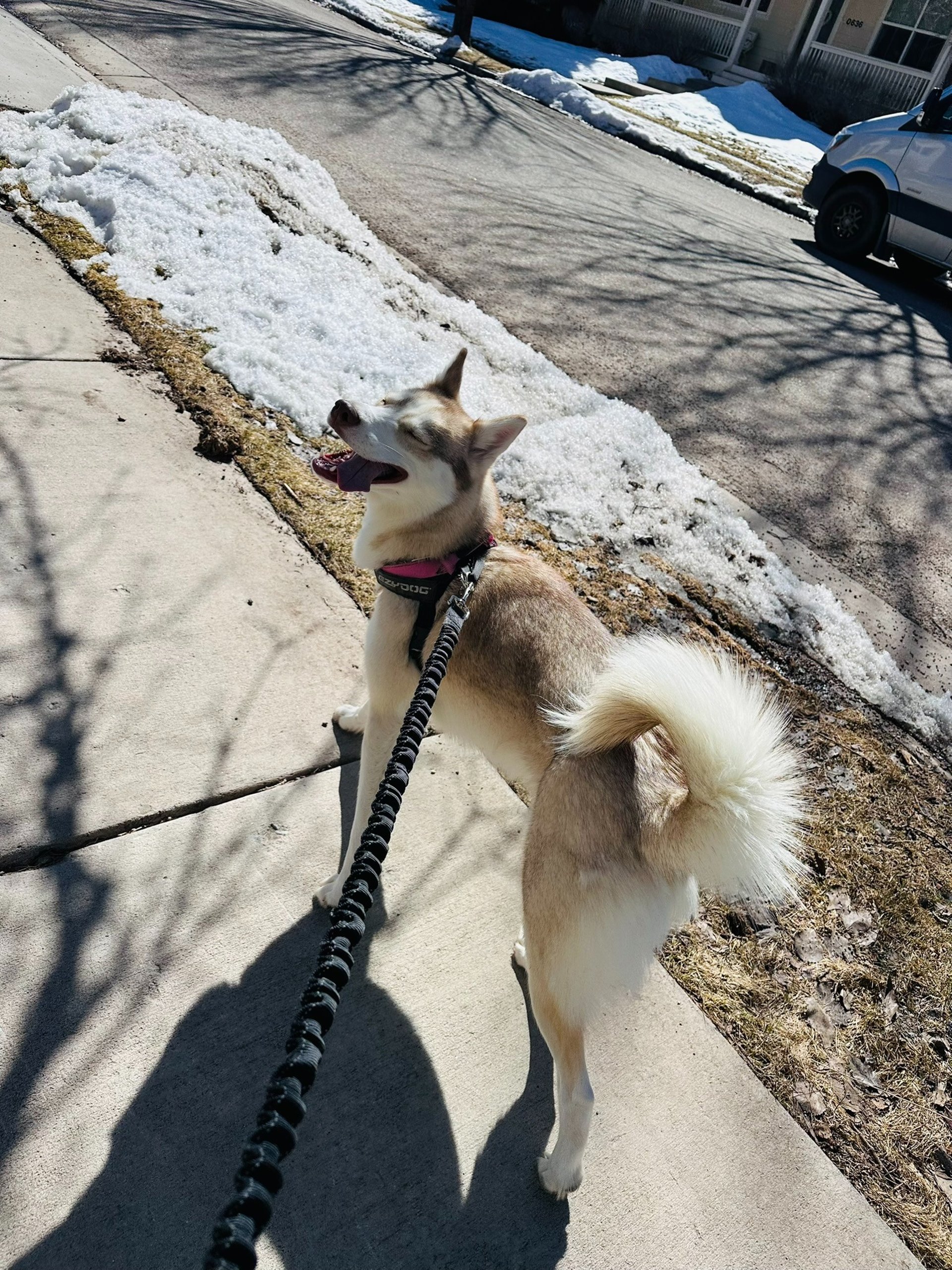 woman wearing yellow long-sleeved dress under white clouds and blue sky during daytime