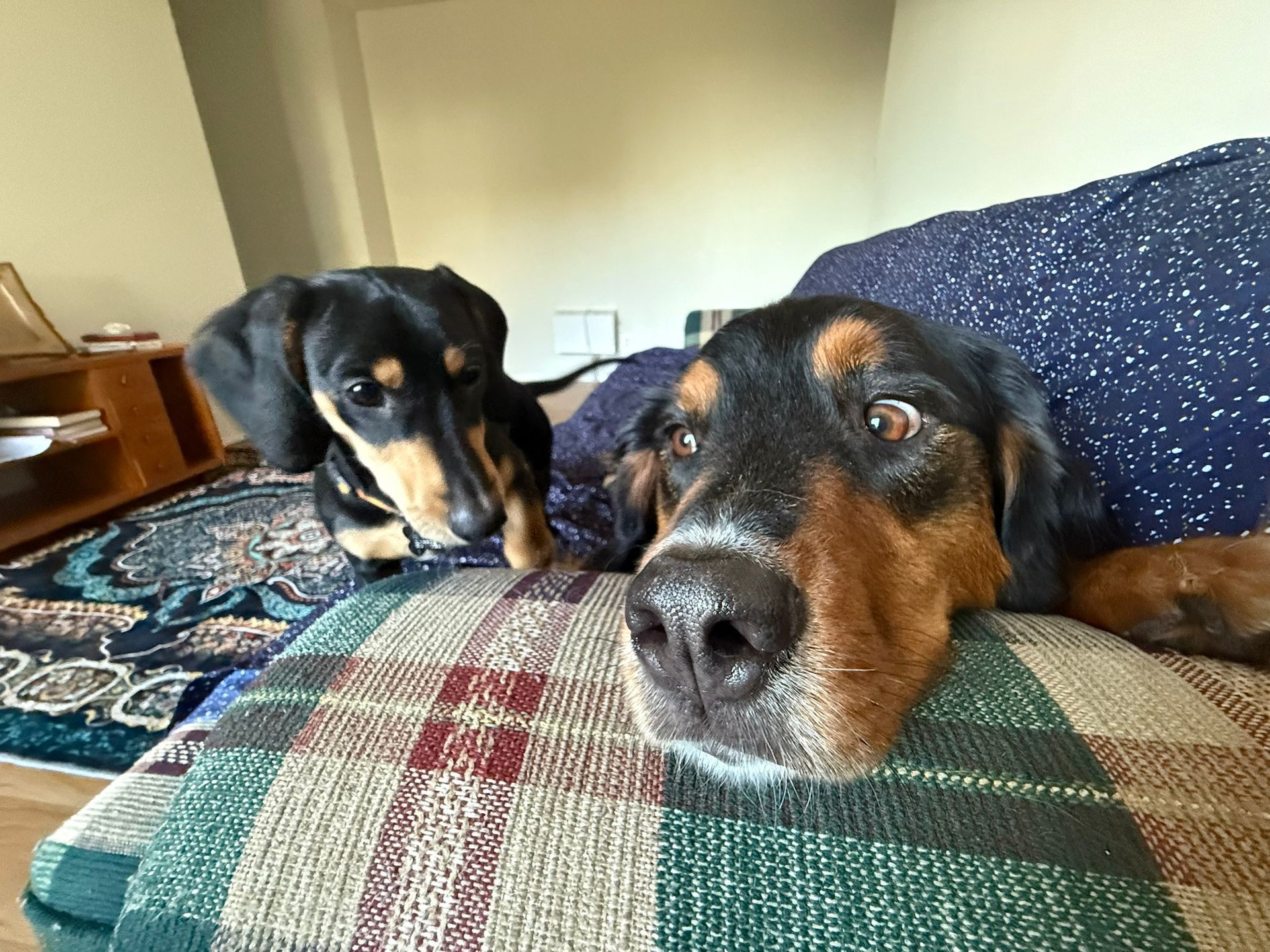 black and white bed linen