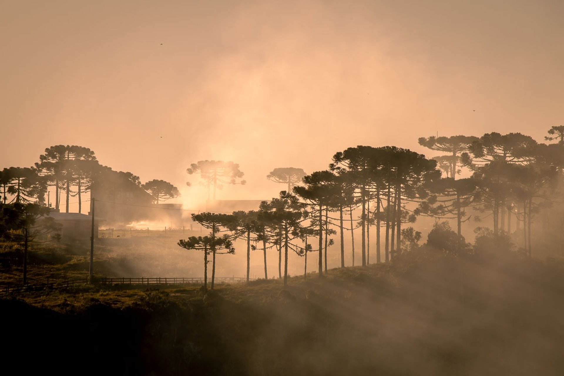 Fotógrafo profissional em Urubici realizando ensaio na Serra Catarinense