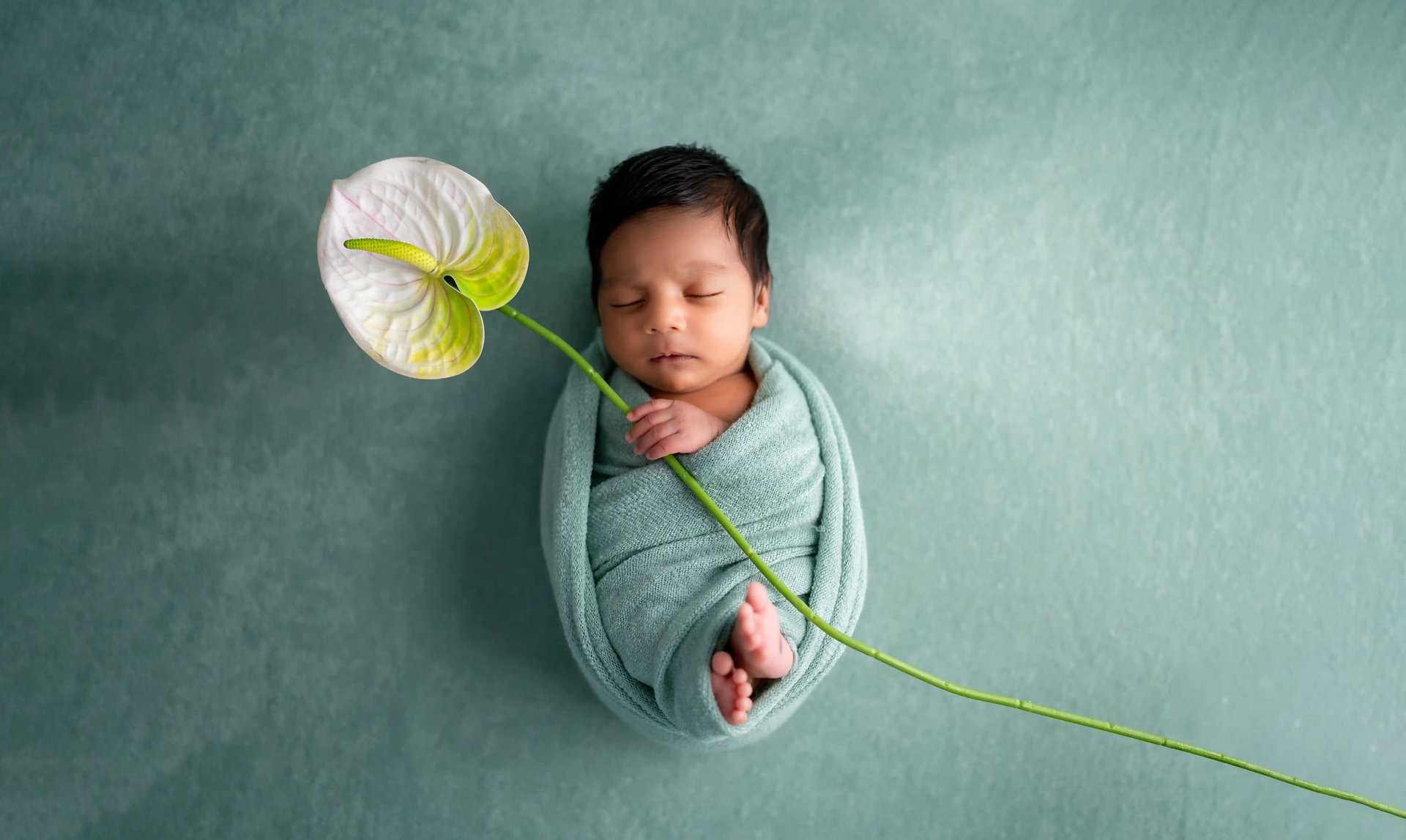 Sleeping newborn baby portrait captured during home session