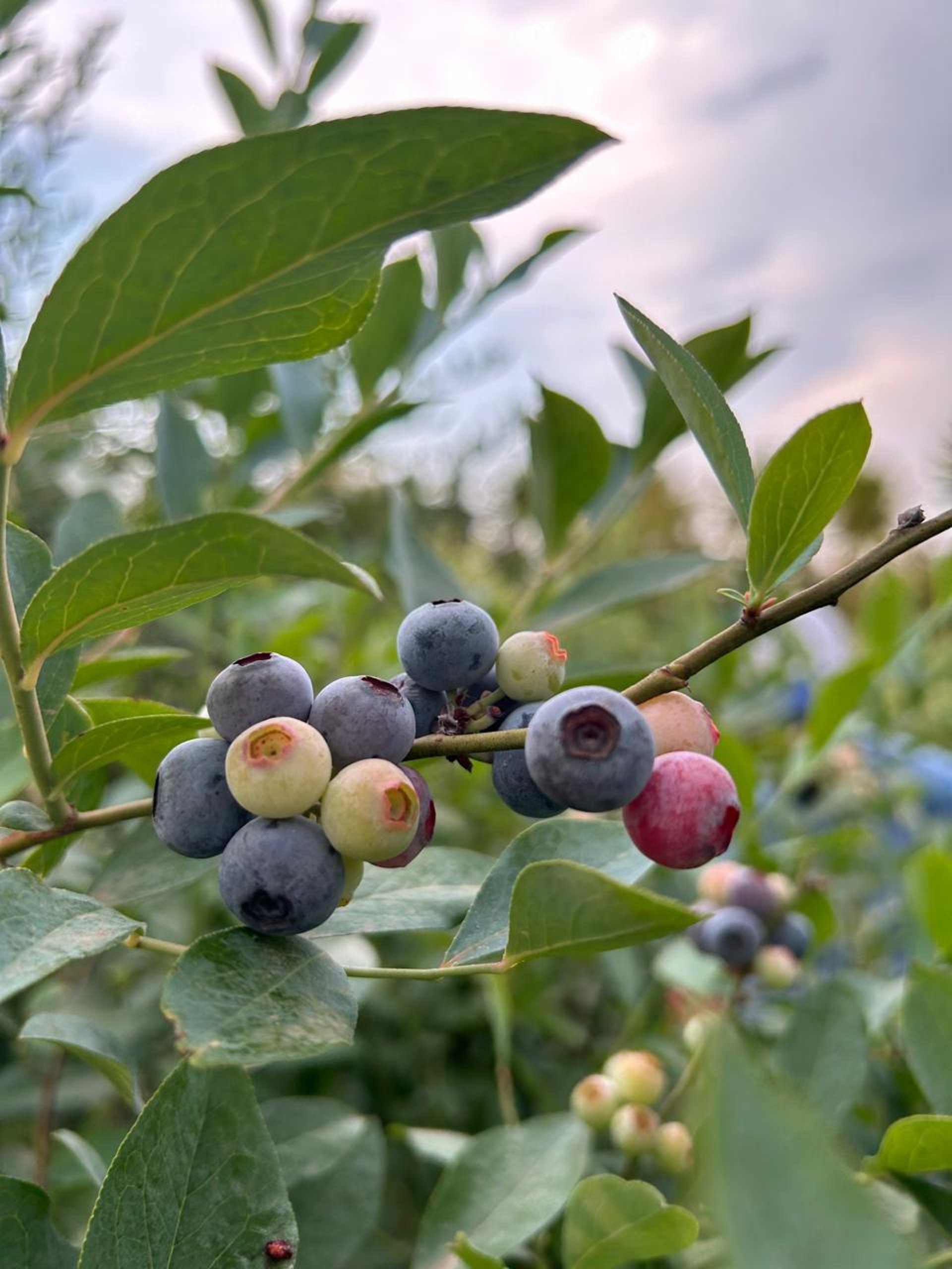 an abstract photo of a curved building with a blue sky in the background