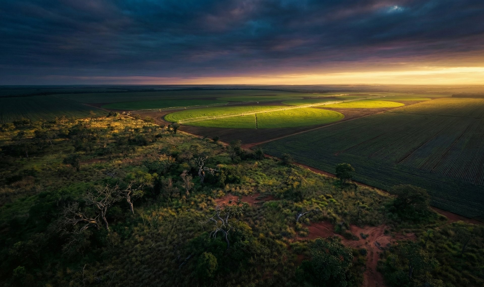 landscape photo of library hallway