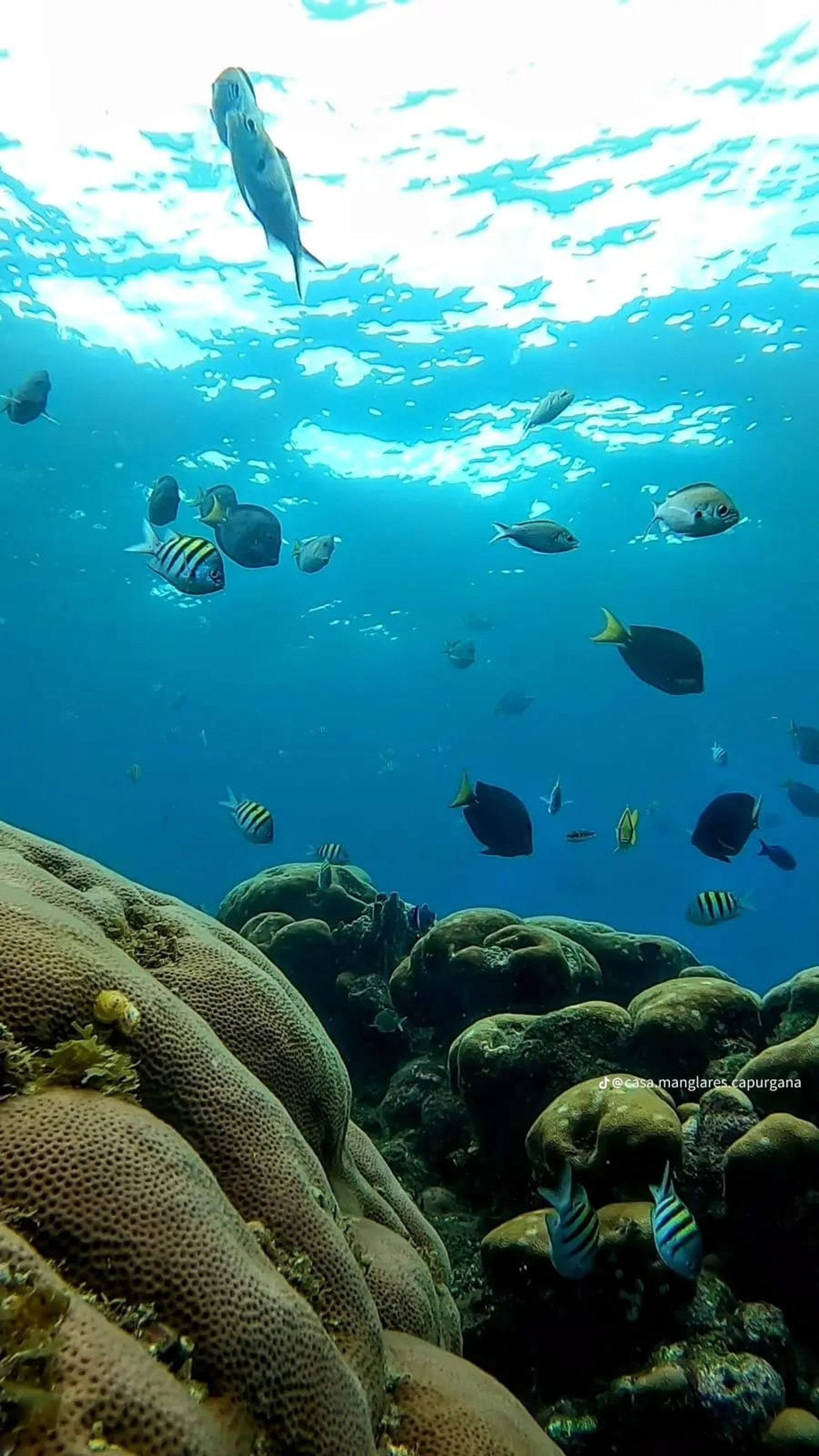 gray computer monitor