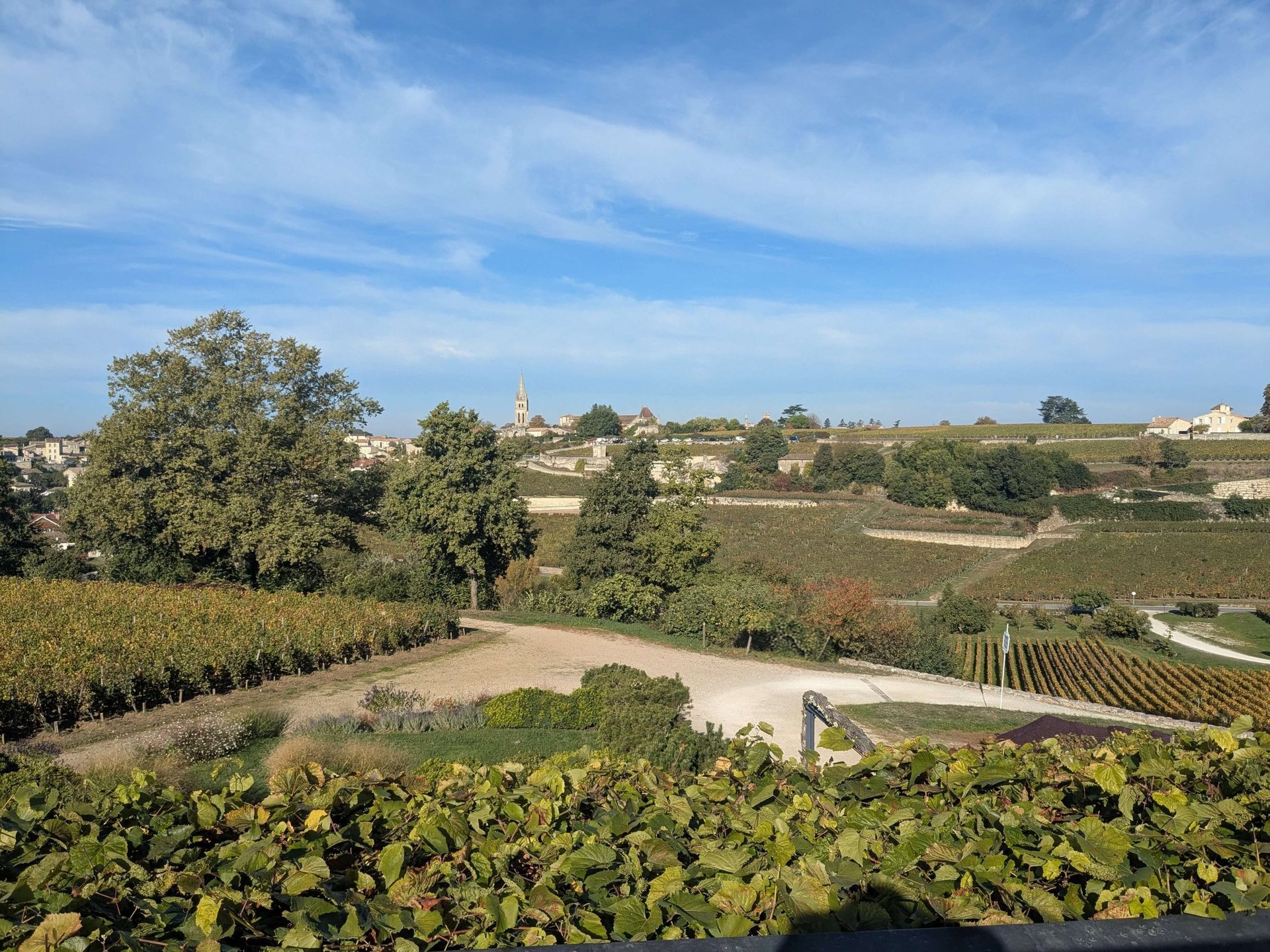 Town of Saint Emilion and its vineyard