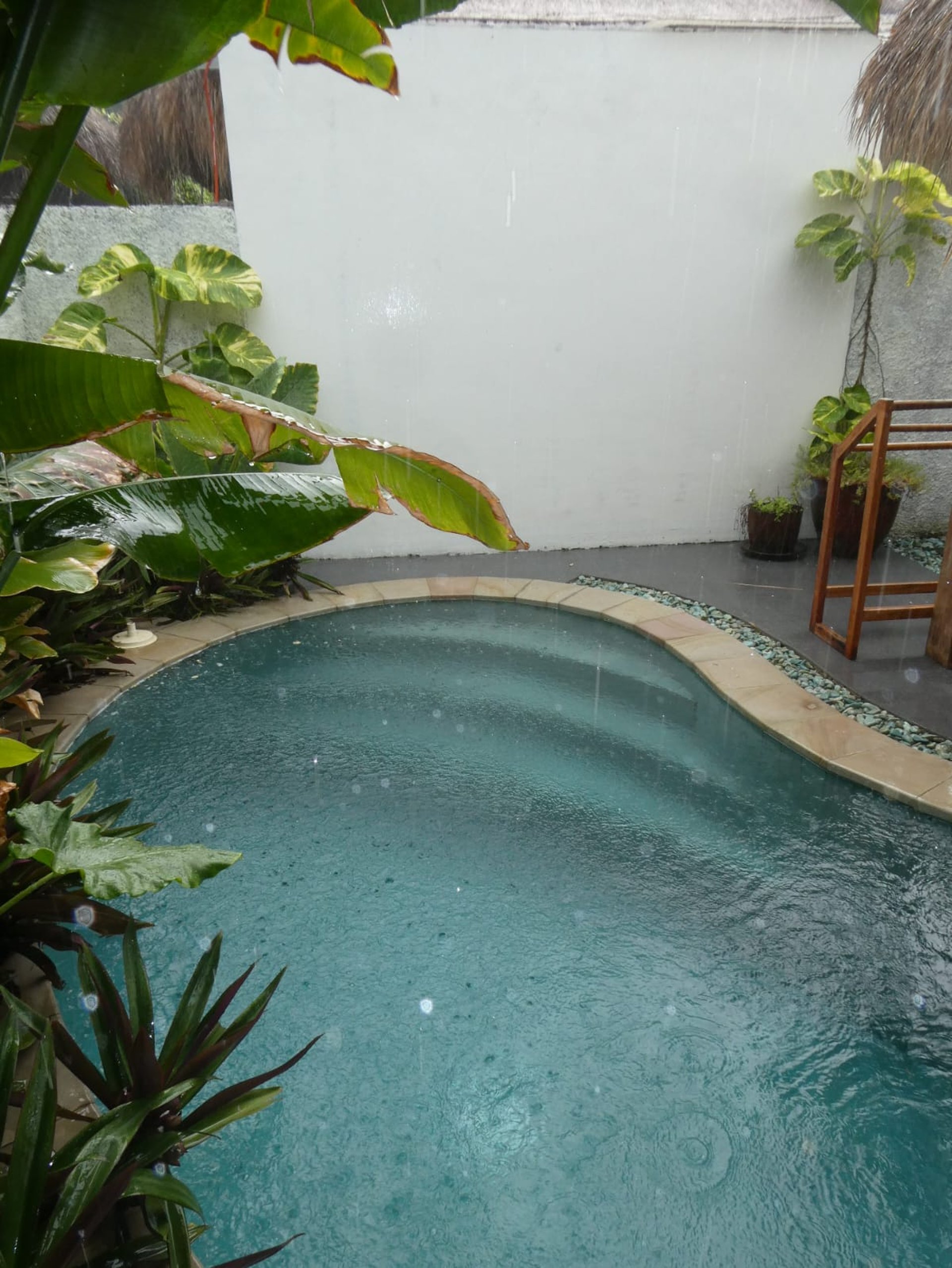 gray computer monitor