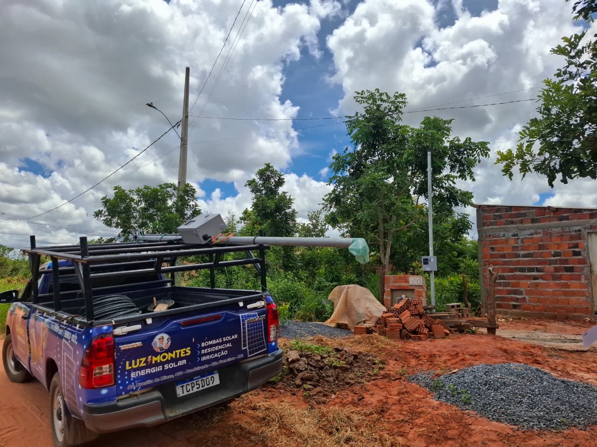 green leafed plants during daytime