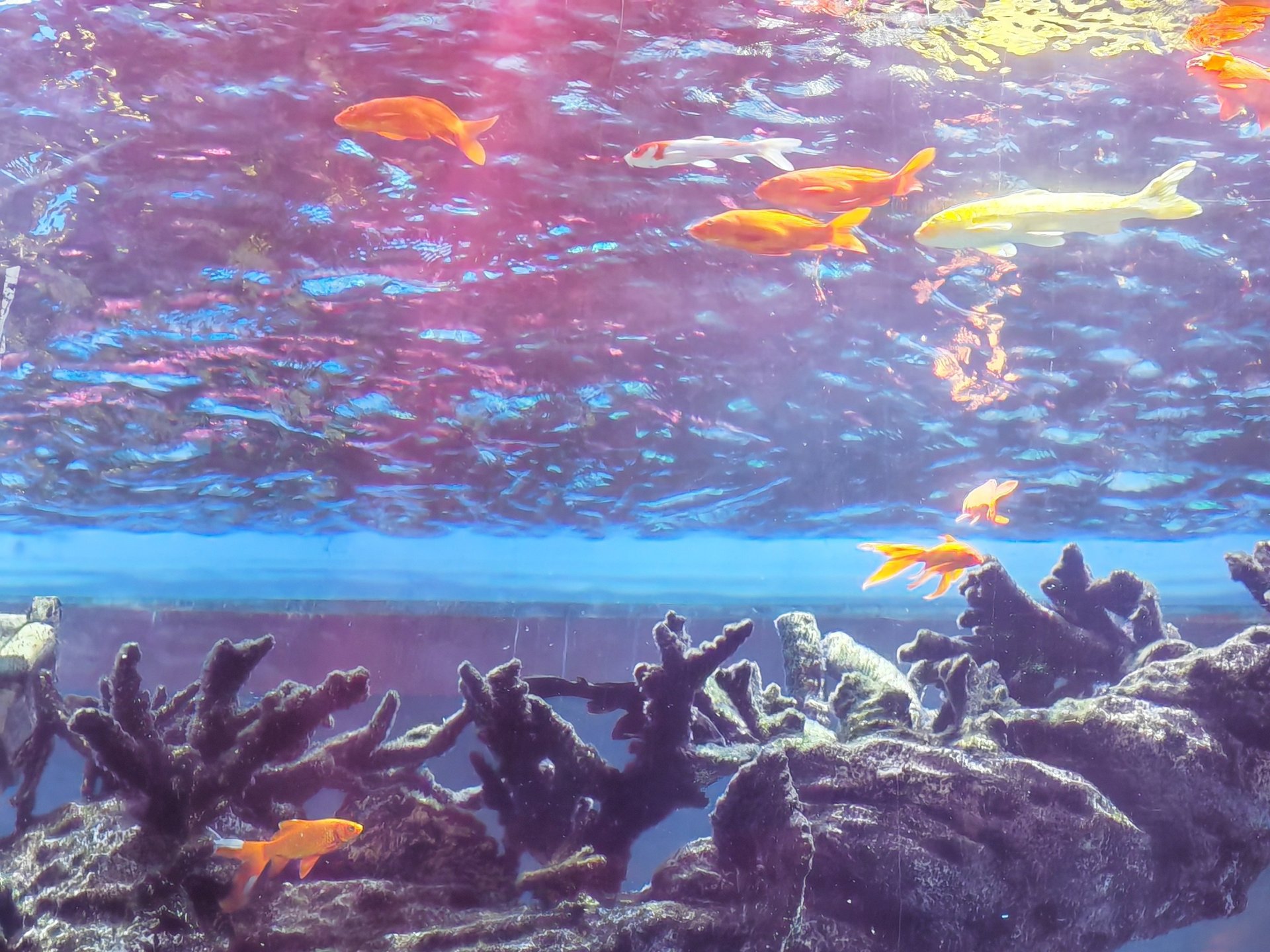 woman wearing yellow long-sleeved dress under white clouds and blue sky during daytime