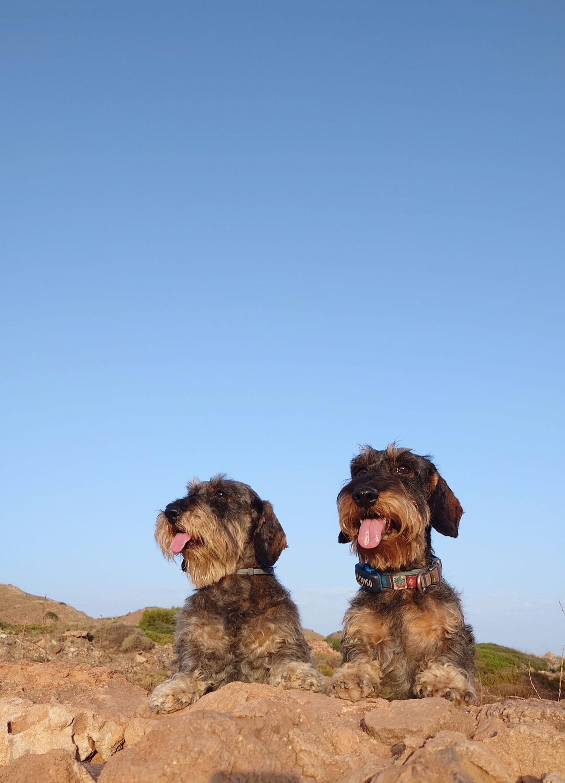 an abstract photo of a curved building with a blue sky in the background