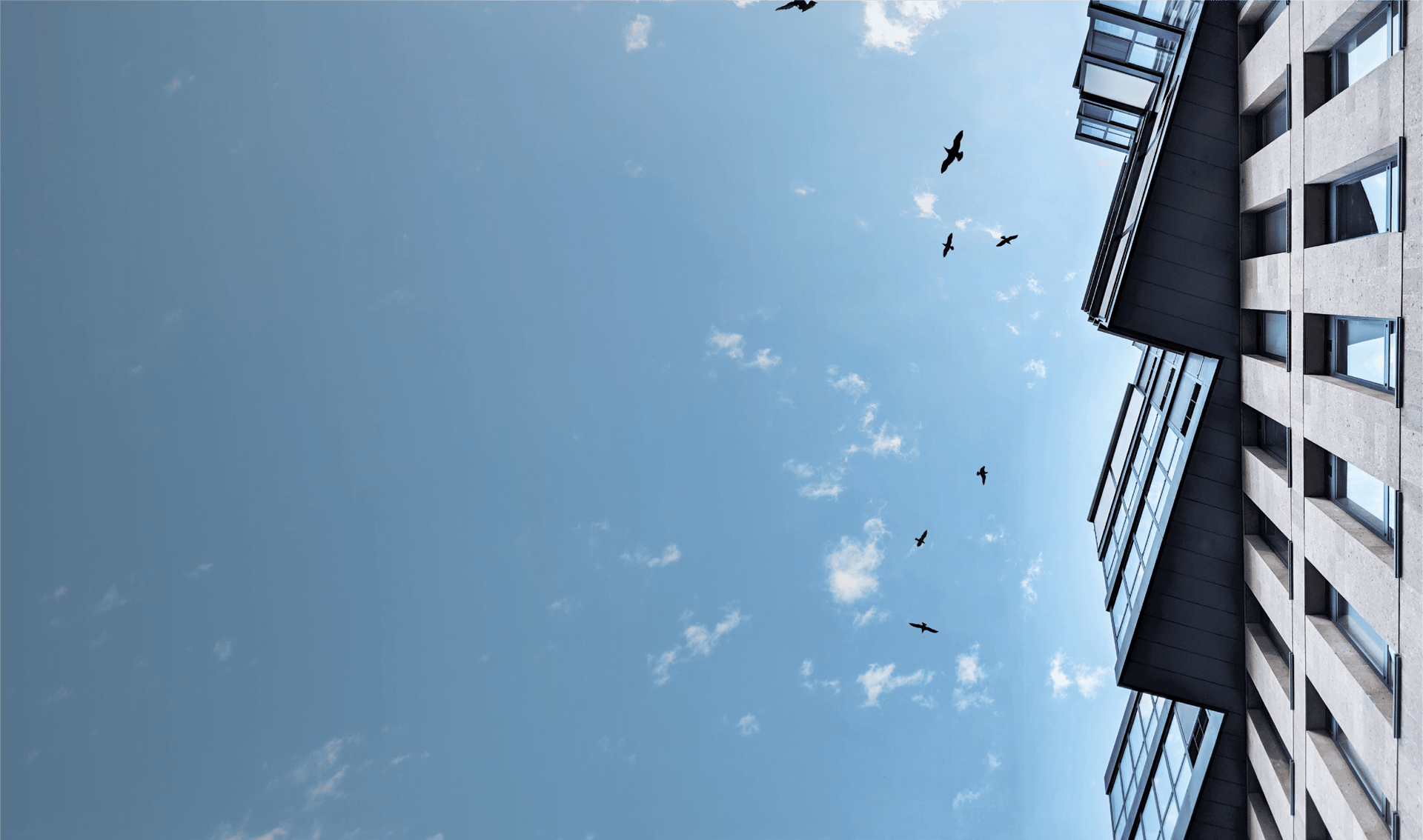 an abstract photo of a curved building with a blue sky in the background