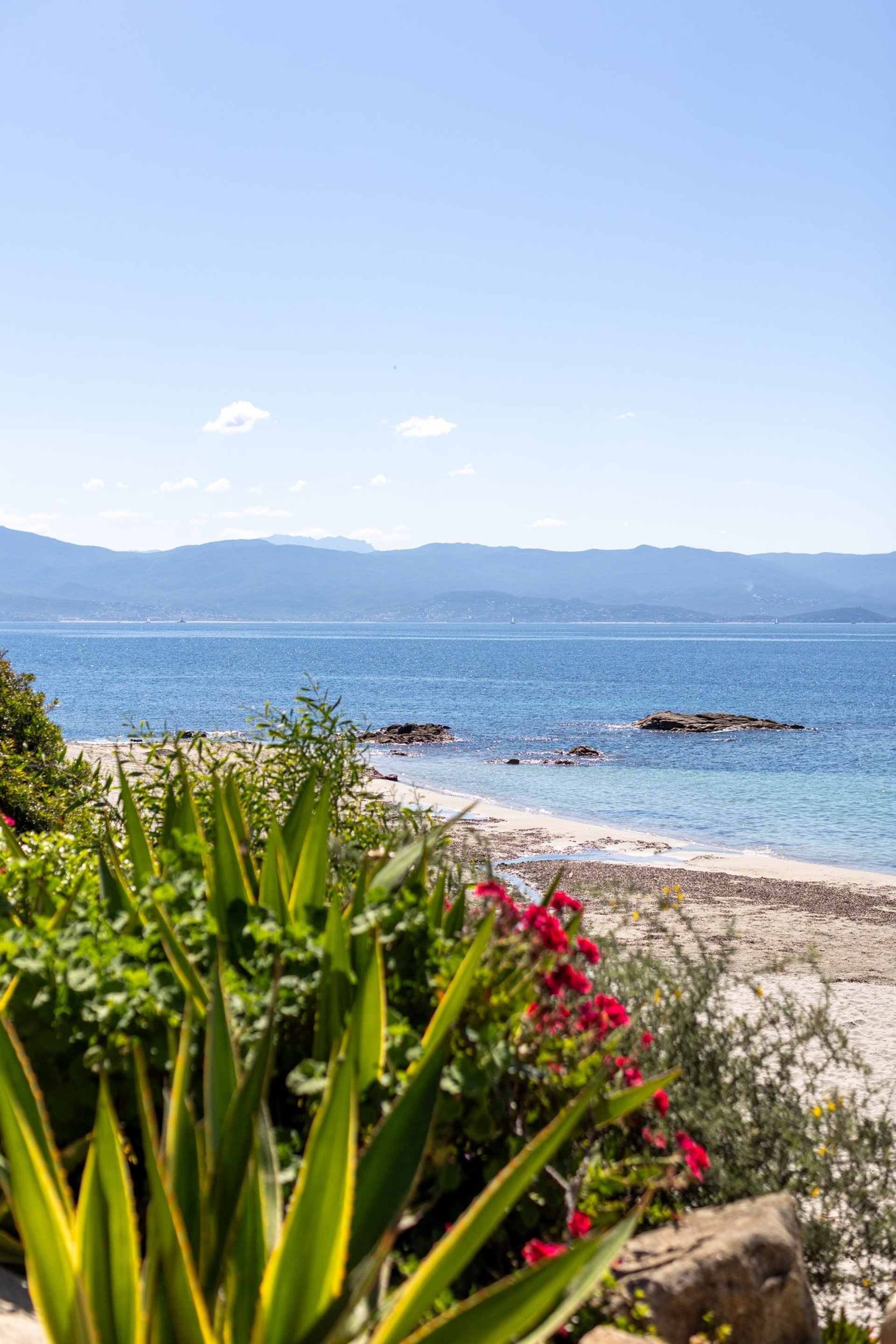 black and white bed linen