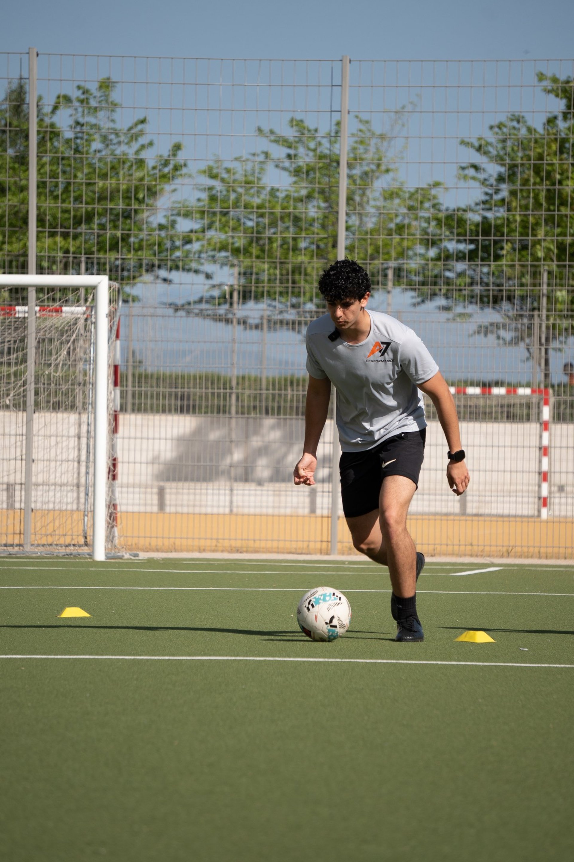 blue and grey soccer ball on green field under white and blue sky during daytime