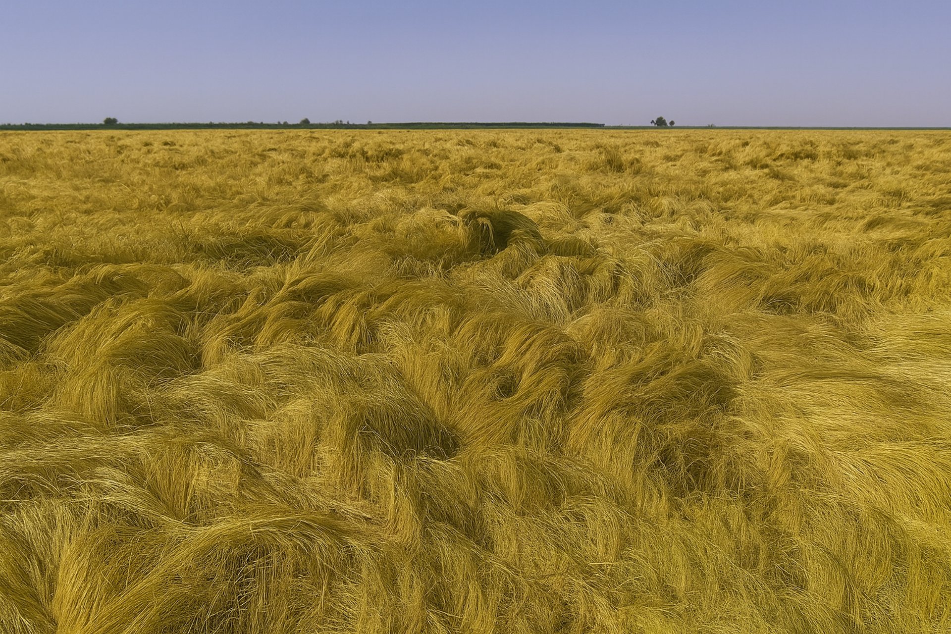 woman wearing yellow long-sleeved dress under white clouds and blue sky during daytime