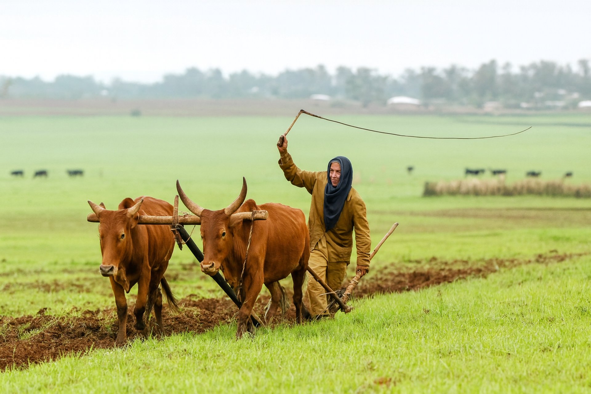 an abstract photo of a curved building with a blue sky in the background