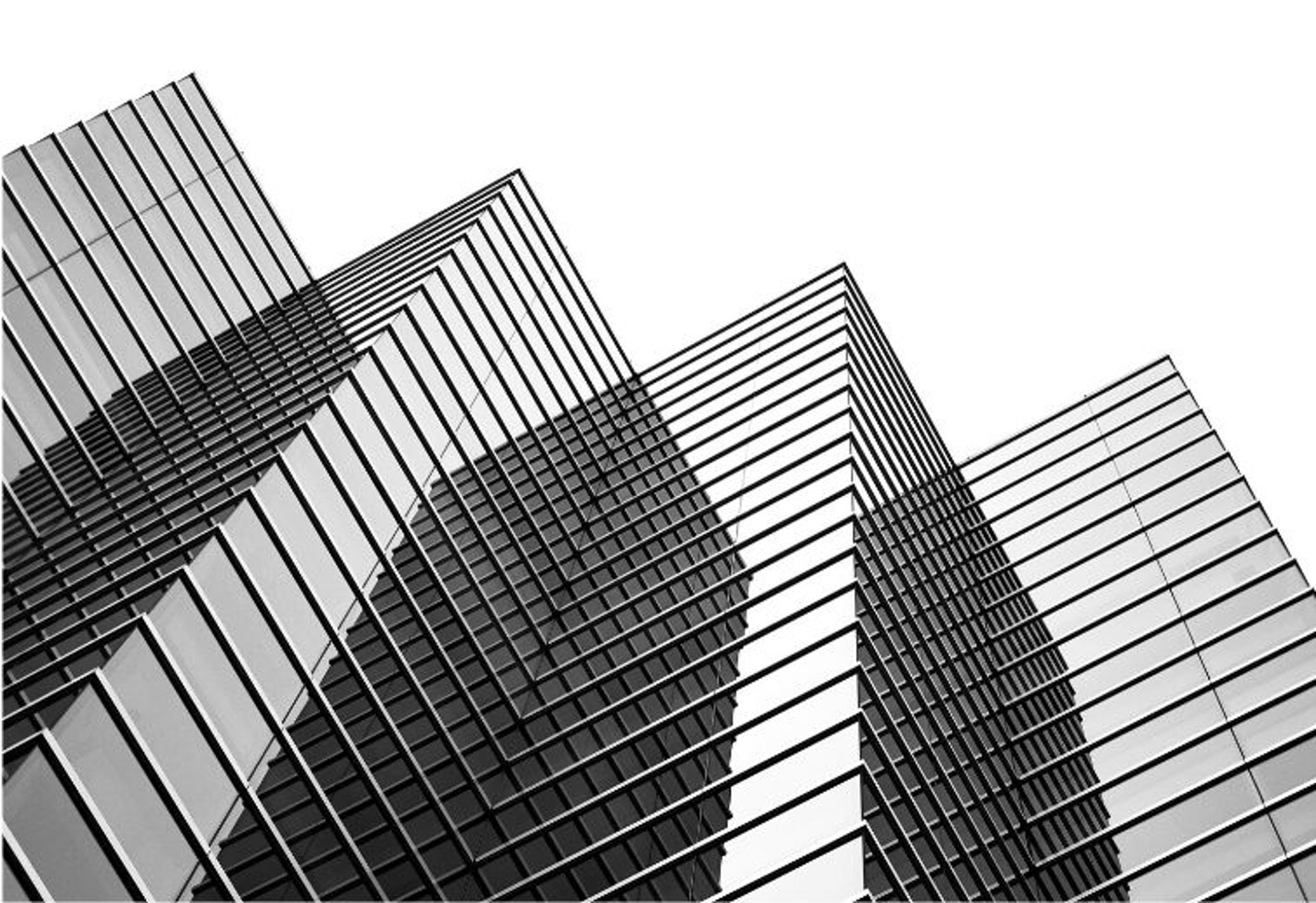 black and white bed linen