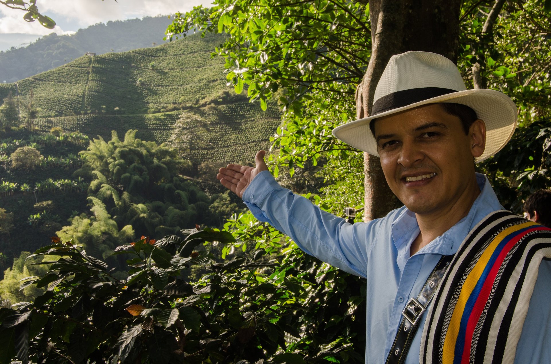 black blue and yellow textile