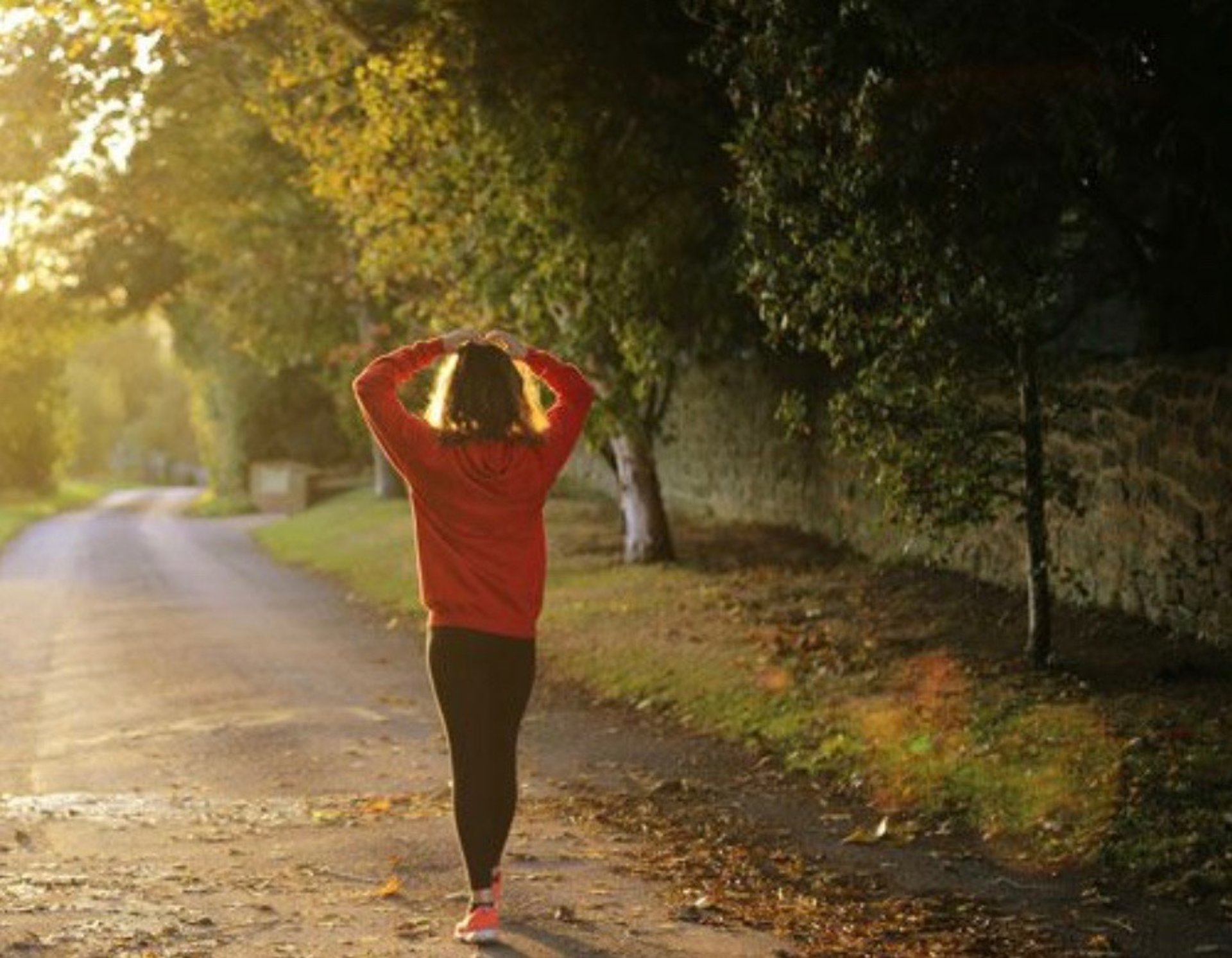 black and brown leather padded tub sofa