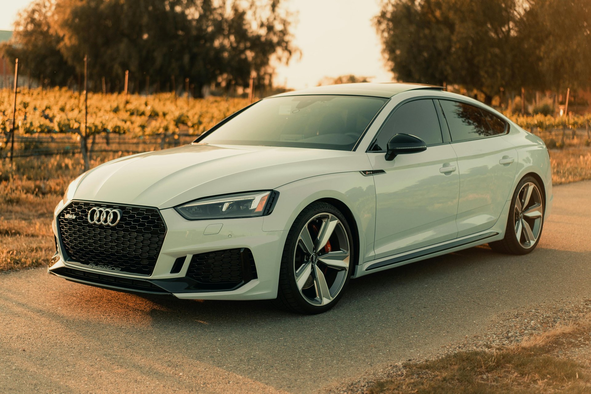 an abstract photo of a curved building with a blue sky in the background