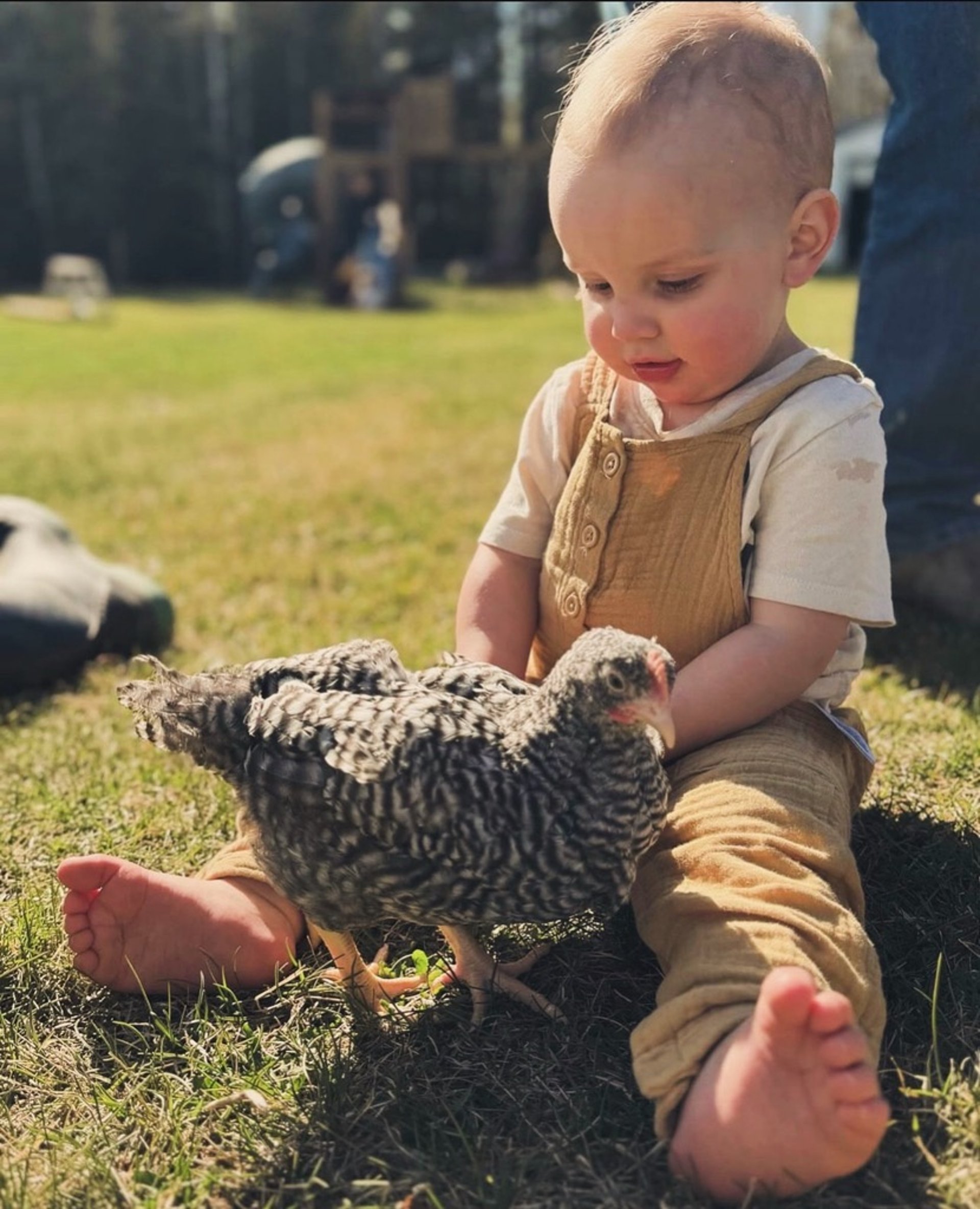 woman wearing yellow long-sleeved dress under white clouds and blue sky during daytime