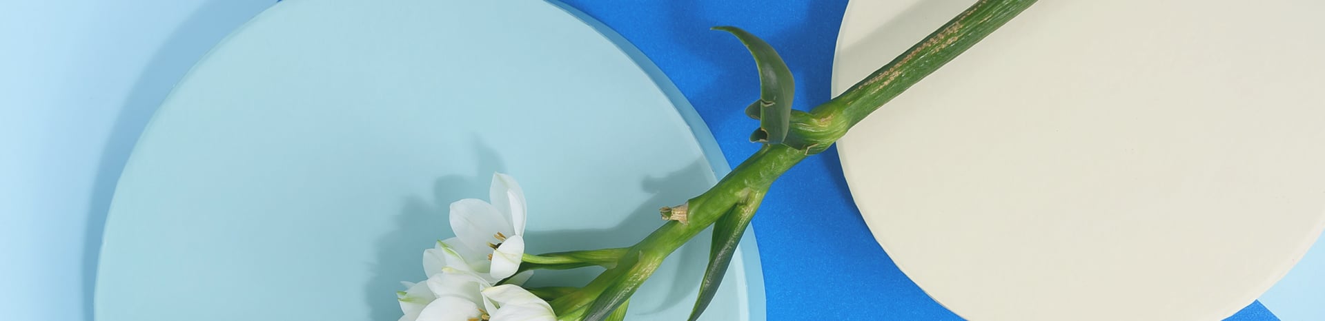 white and black dice on green textile