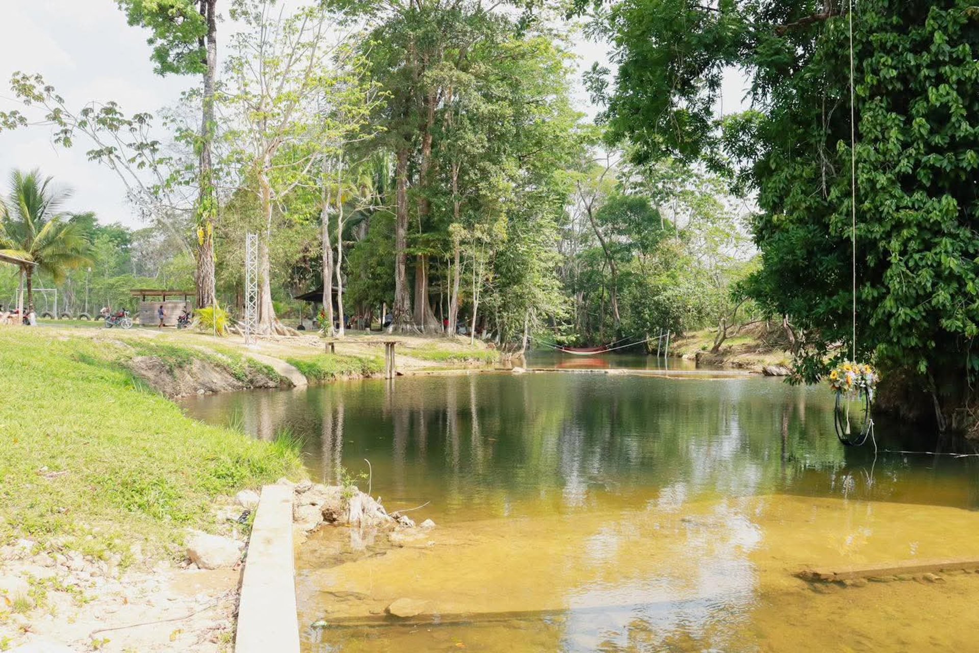 Lakefront cabins nestled in a lush, green landscape.
