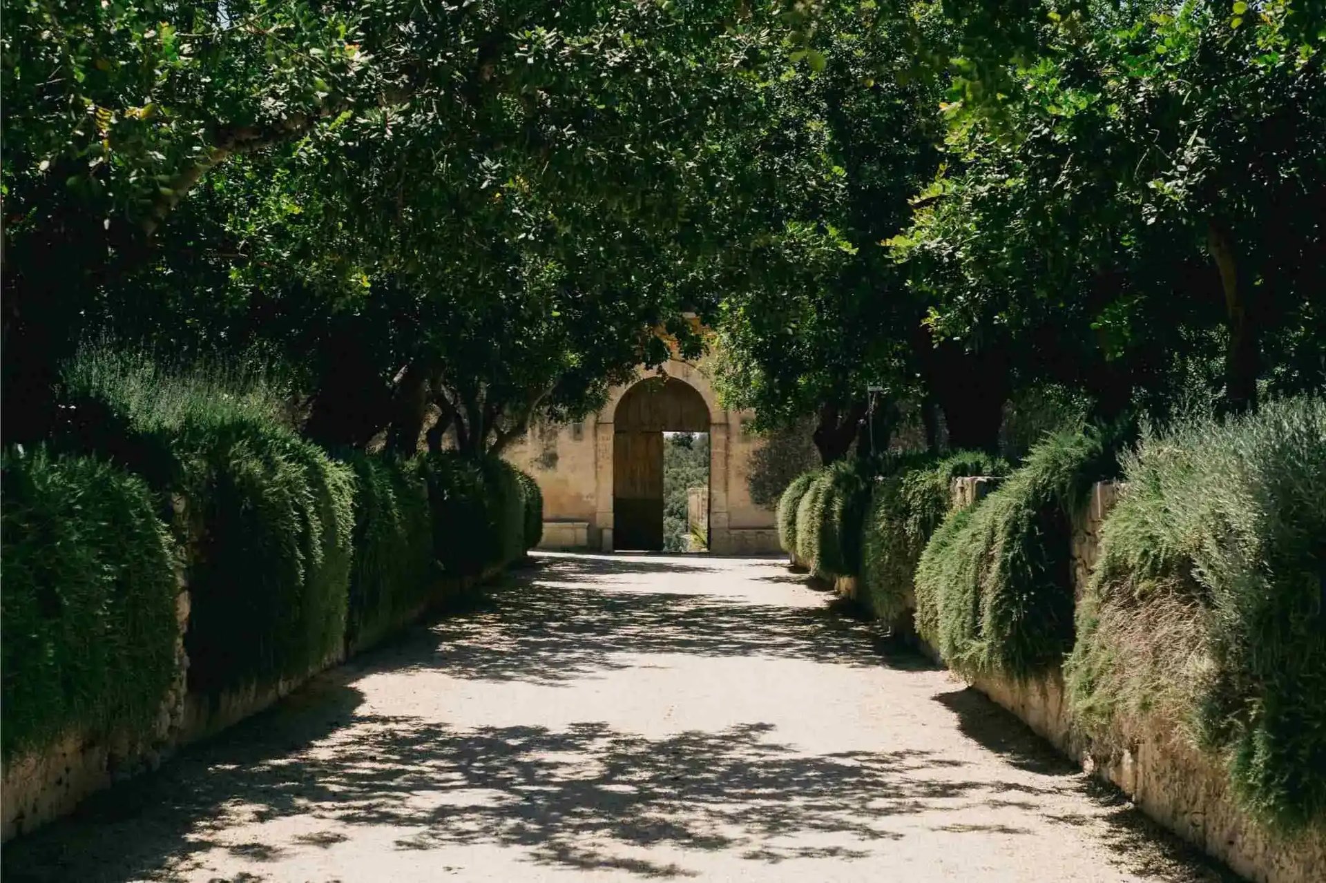 couple wearing silver-colored rings