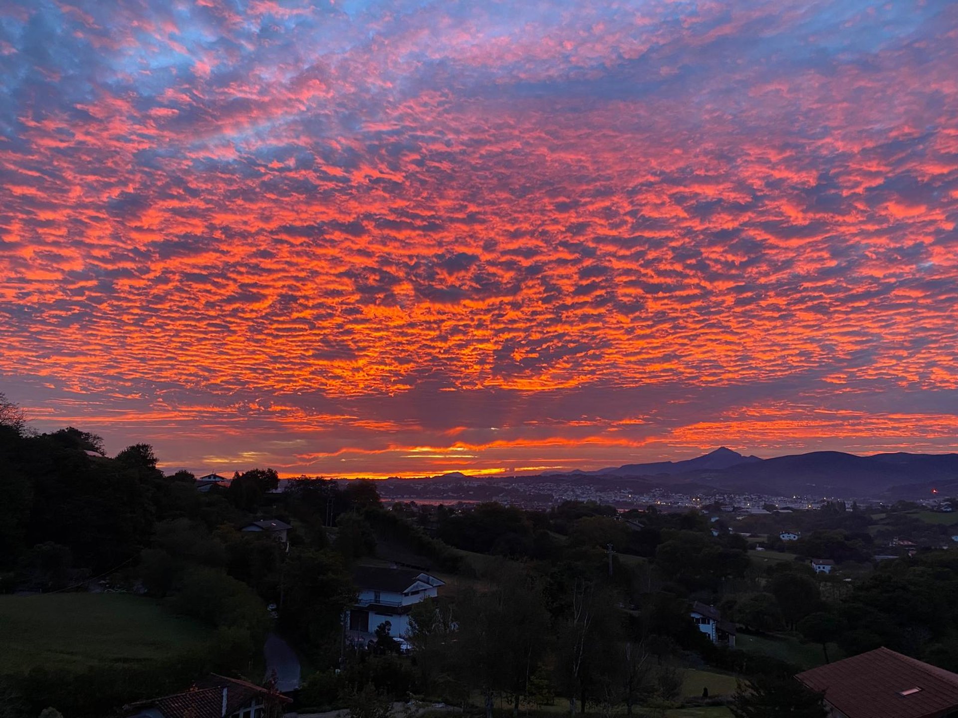 woman wearing yellow long-sleeved dress under white clouds and blue sky during daytime