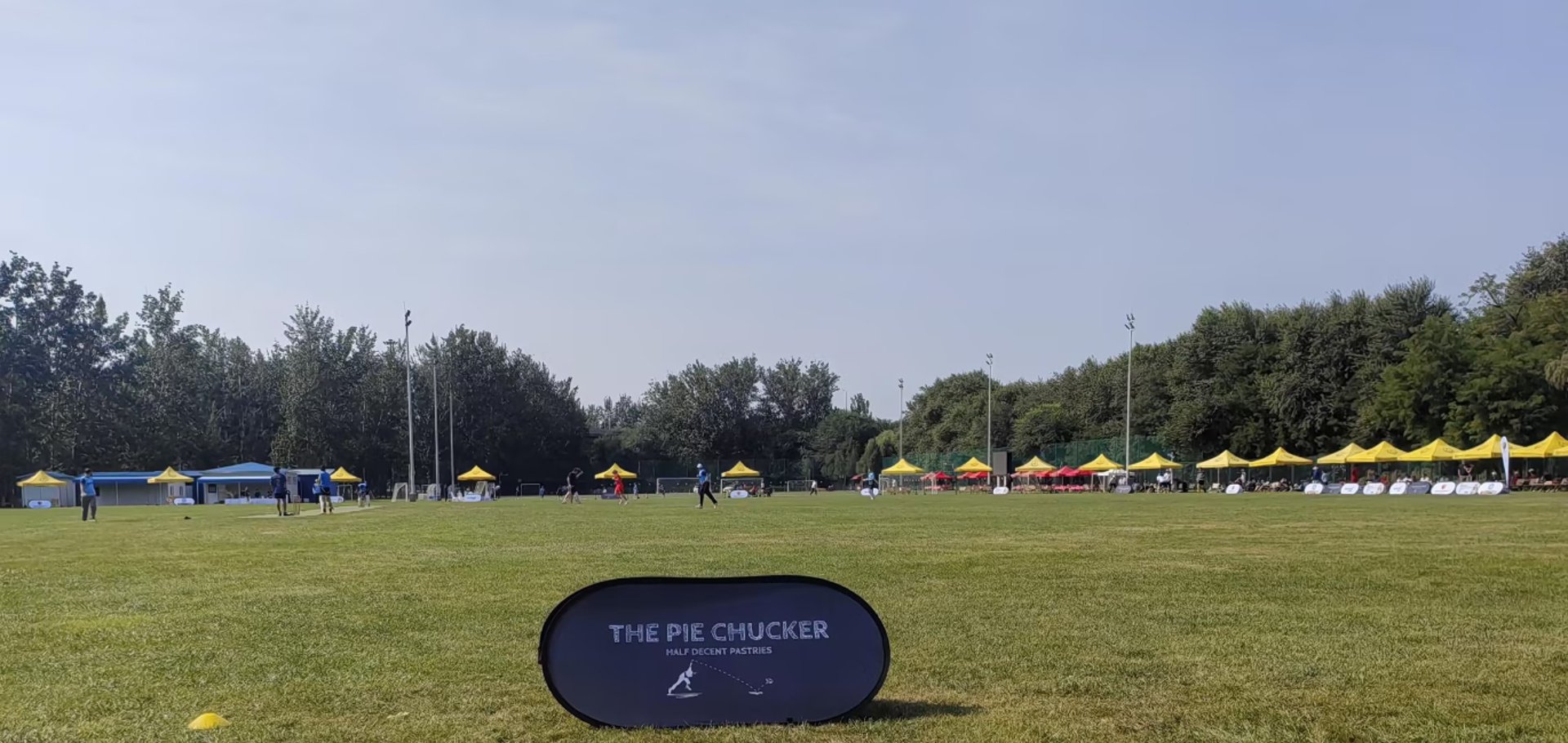 woman holding dried flower