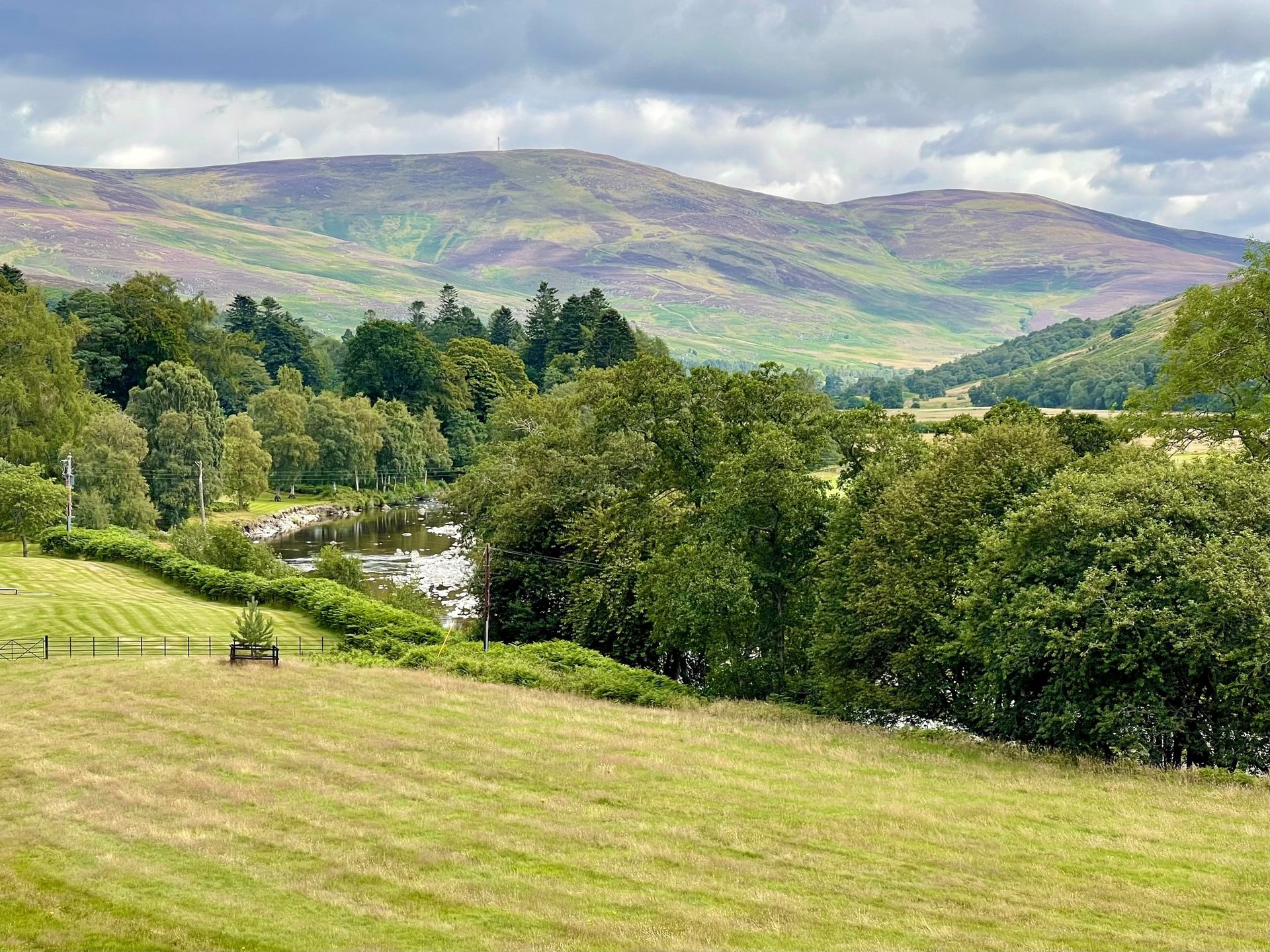 gray computer monitor