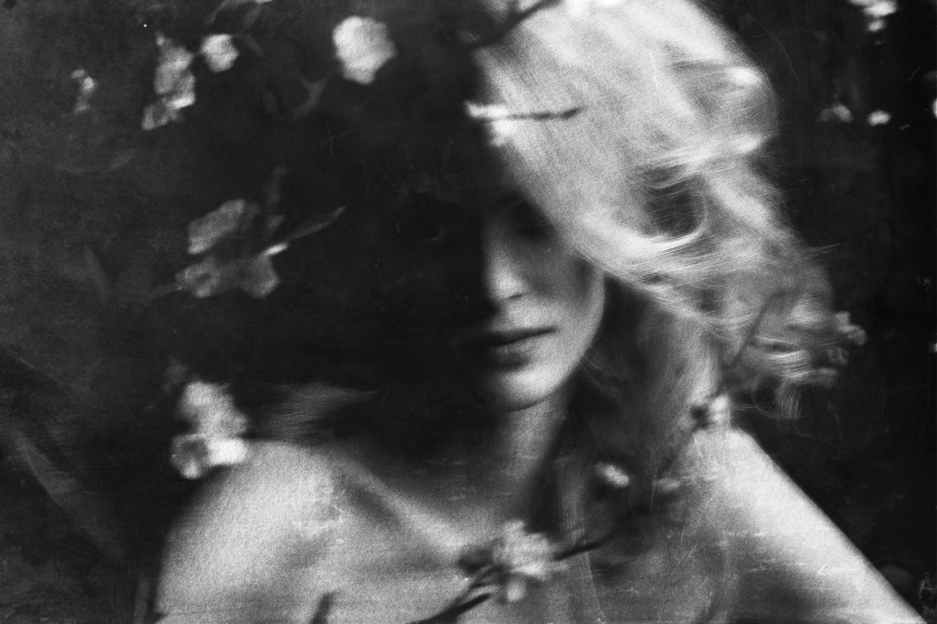 a white flower in the middle of a forest