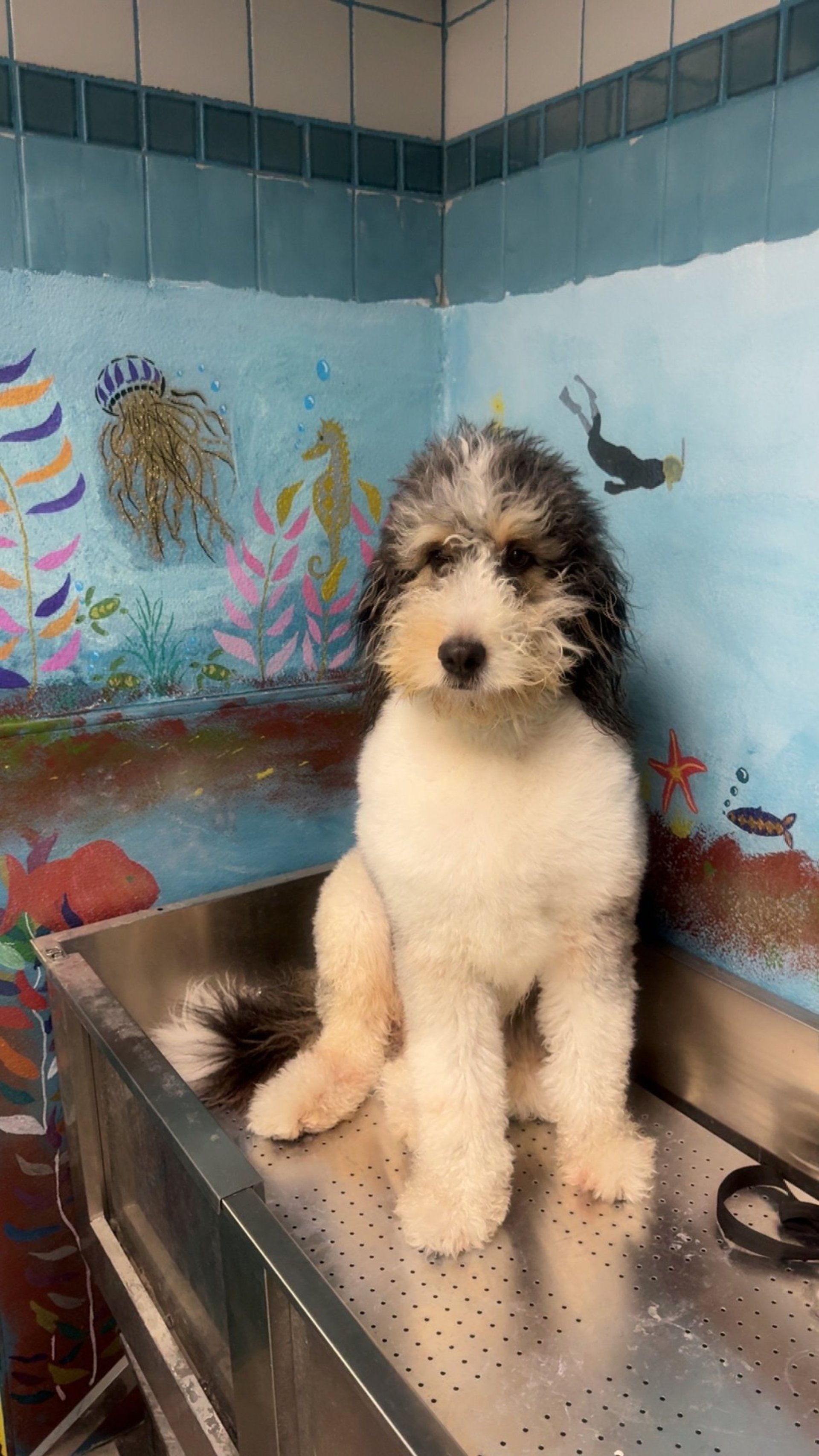 black and white bed linen